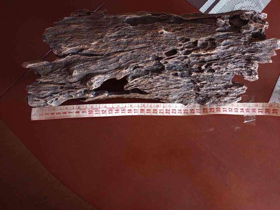 Tronco de acrílico para acuario - miniatura 4