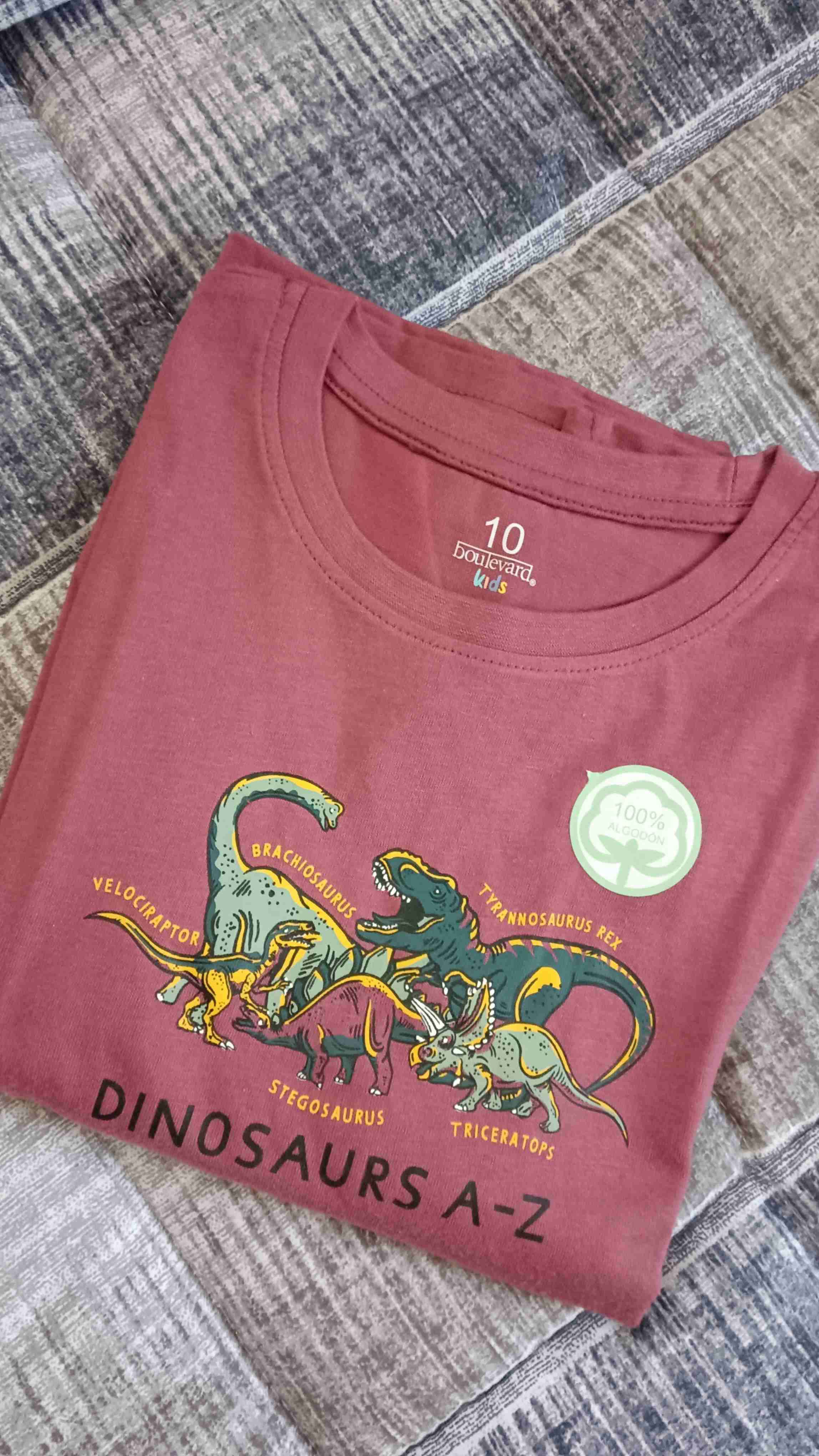 Polera infantil dinosaurios burdeos - miniatura 2