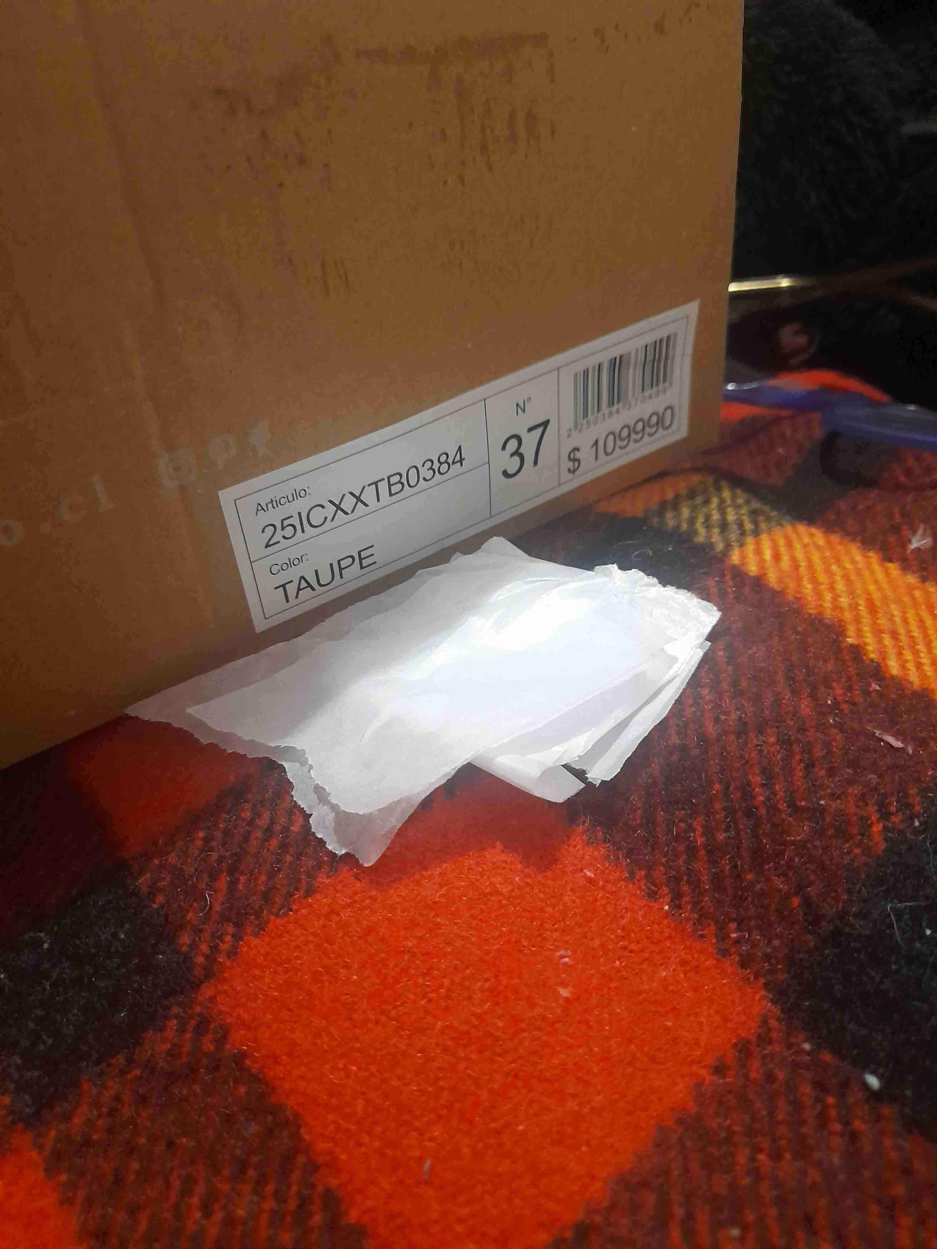 Botines de gamuza gris - miniatura 4