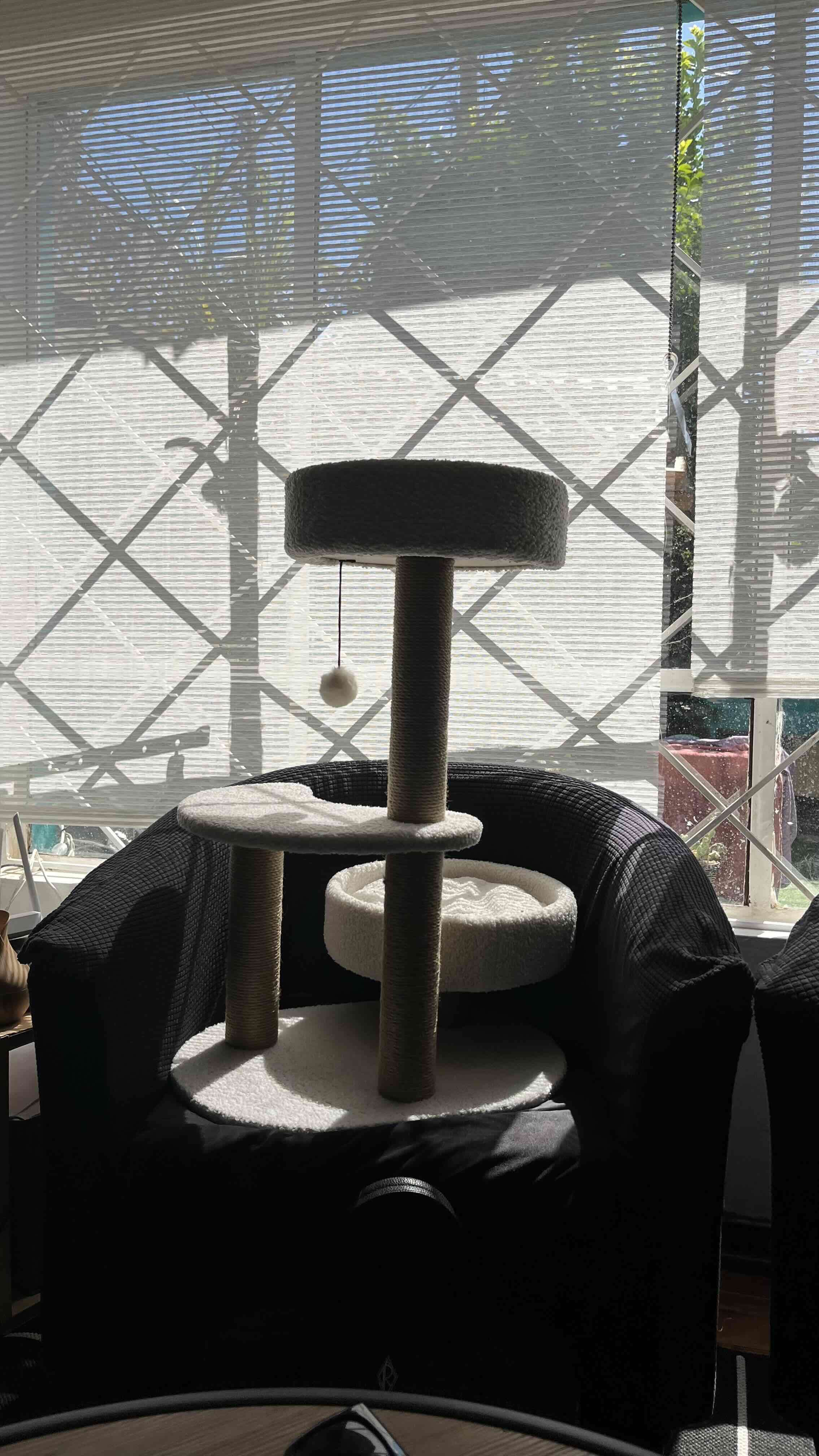 Árbol rascador para gatos - miniatura 2