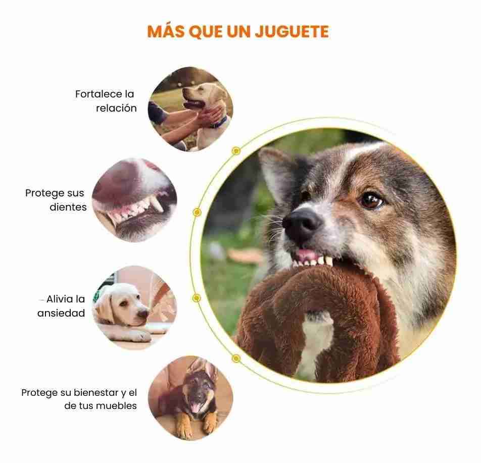 Set Juguete de peluche chillón para perro Anties - miniatura 3
