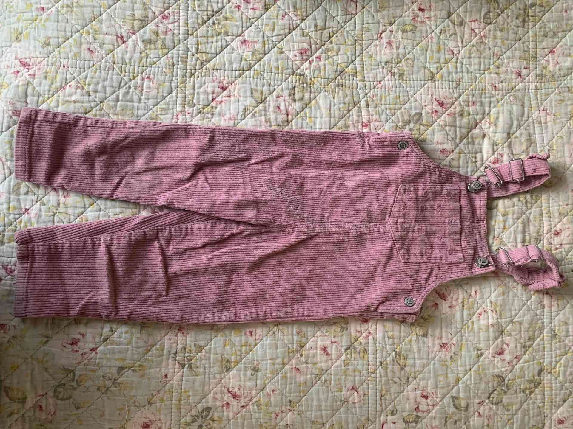 Jardineras rosadas de niña