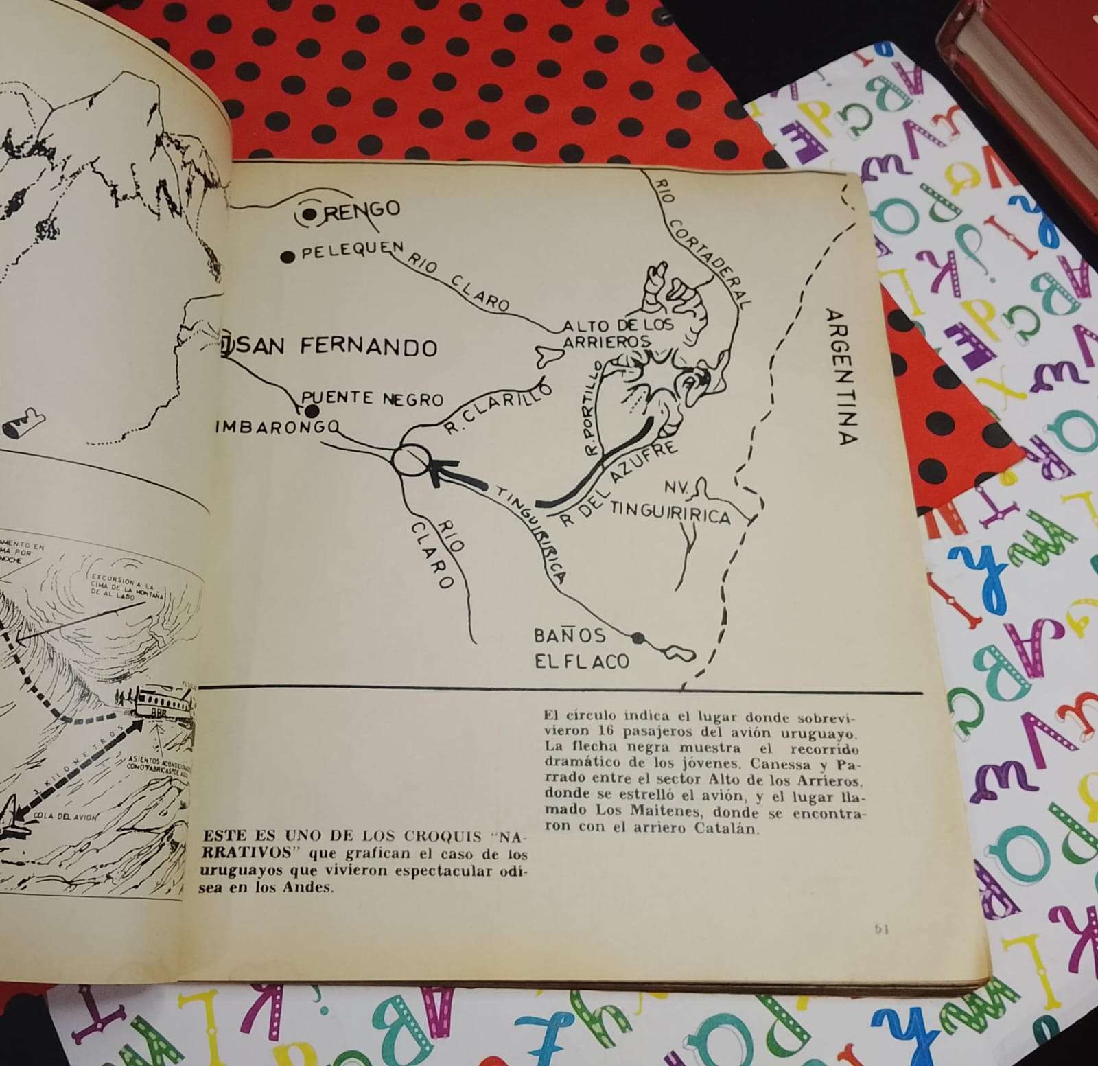 Vivir O Morir - Alfonso Alcalde - miniatura 4