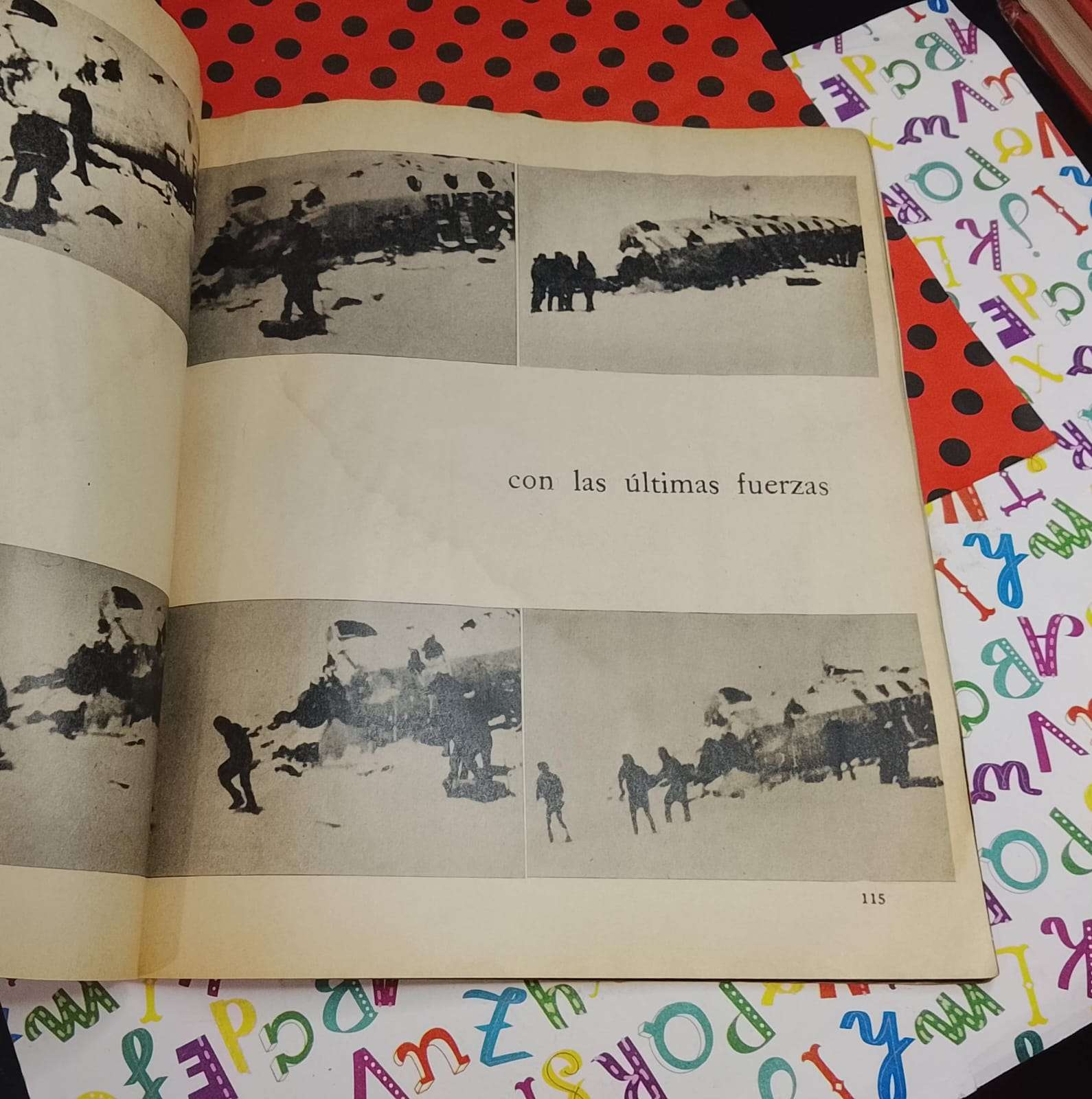 Vivir O Morir - Alfonso Alcalde - miniatura 5