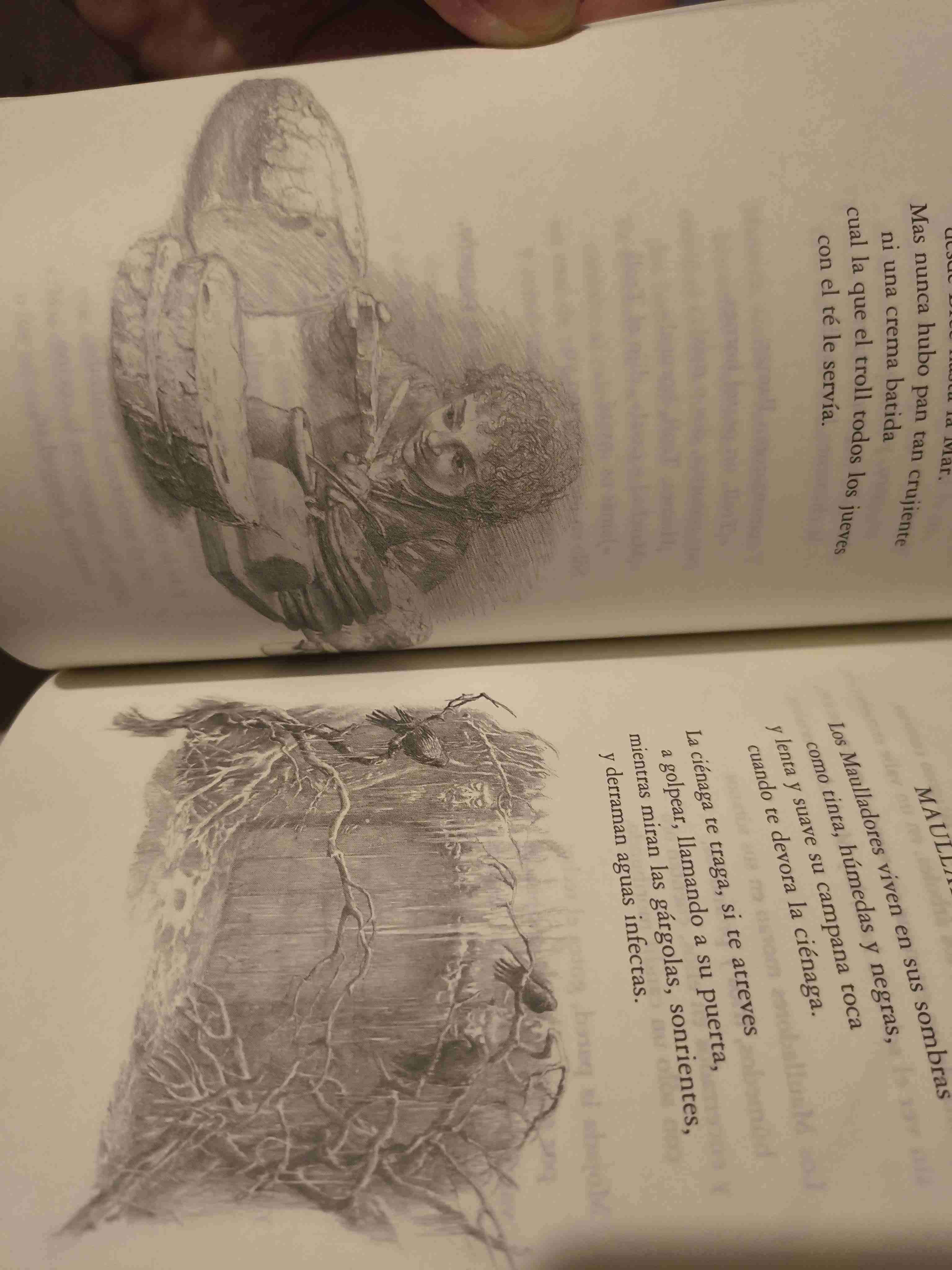 Libro Cuentos desde el Reino Peligroso - 4