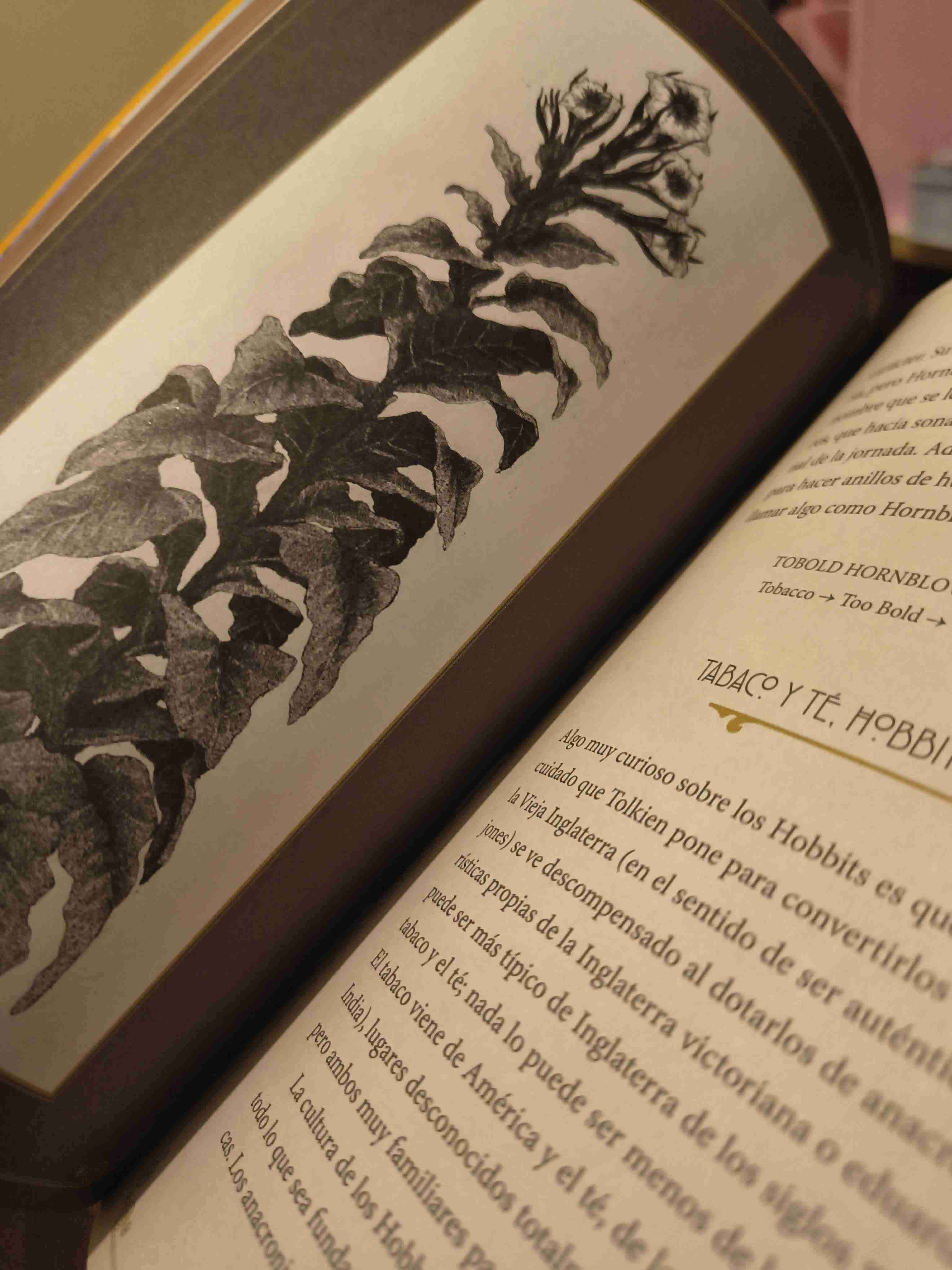 Libro Los Hobbits de Tolkien - miniatura 5