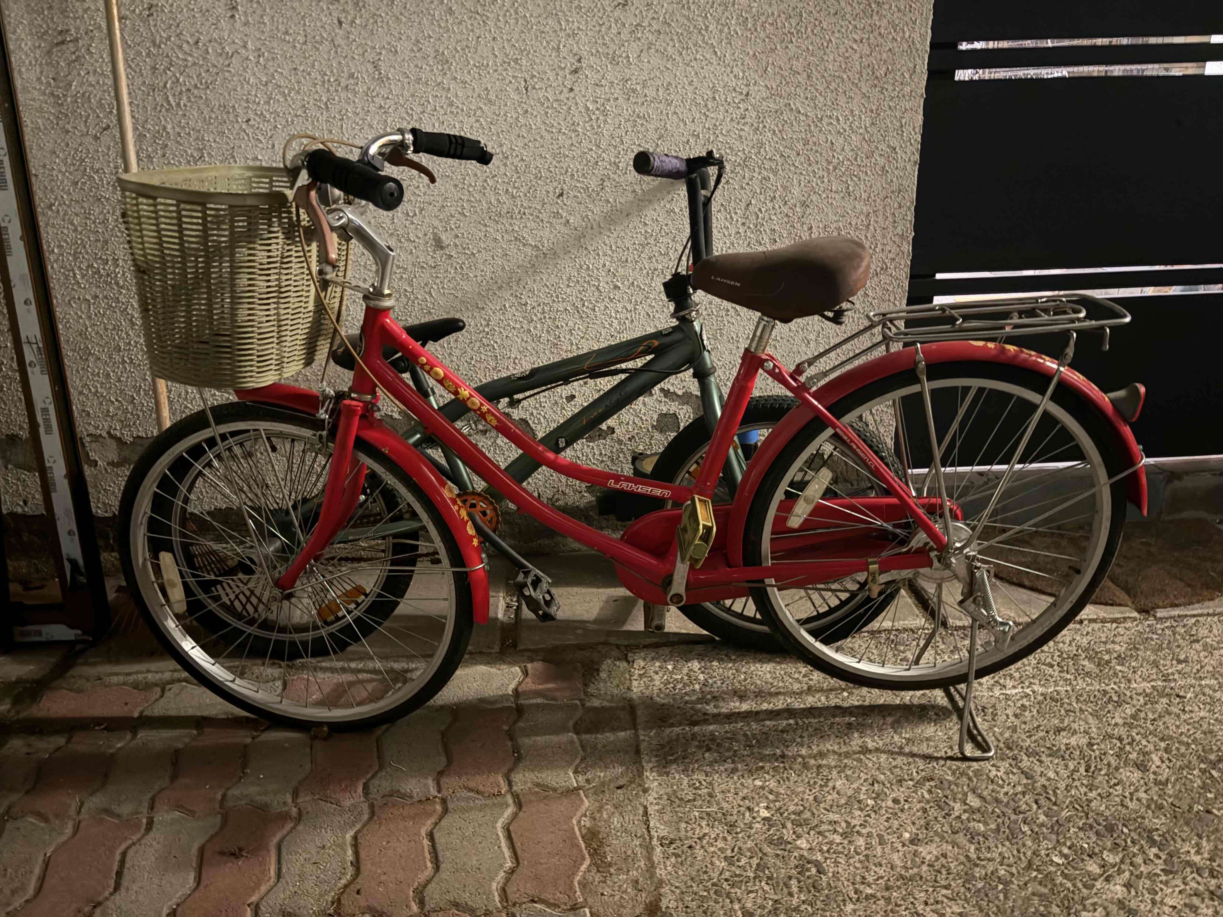 Bicicleta roja con canasto