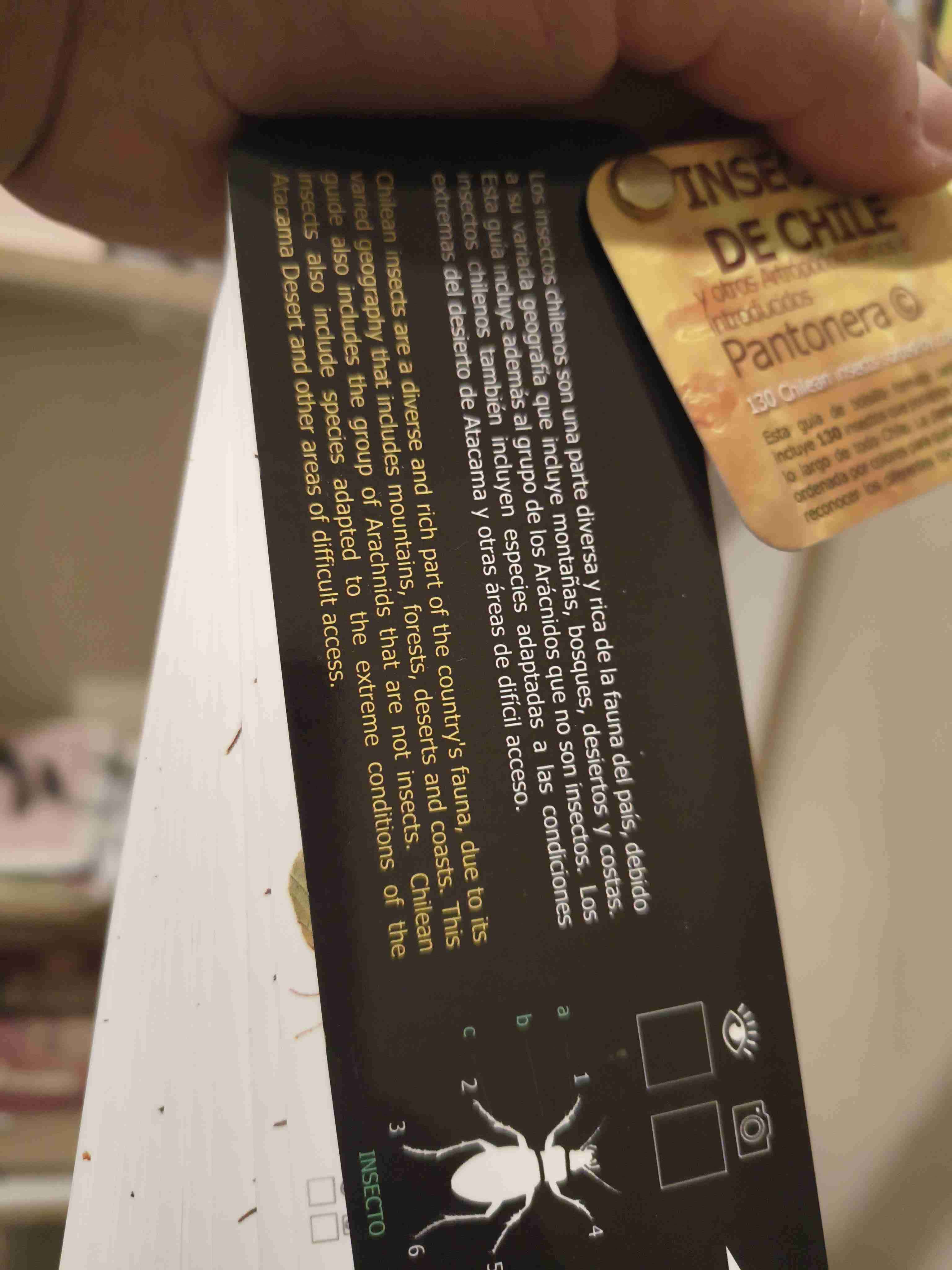 Guía Insectos de Chile - Pantonera - miniatura 2