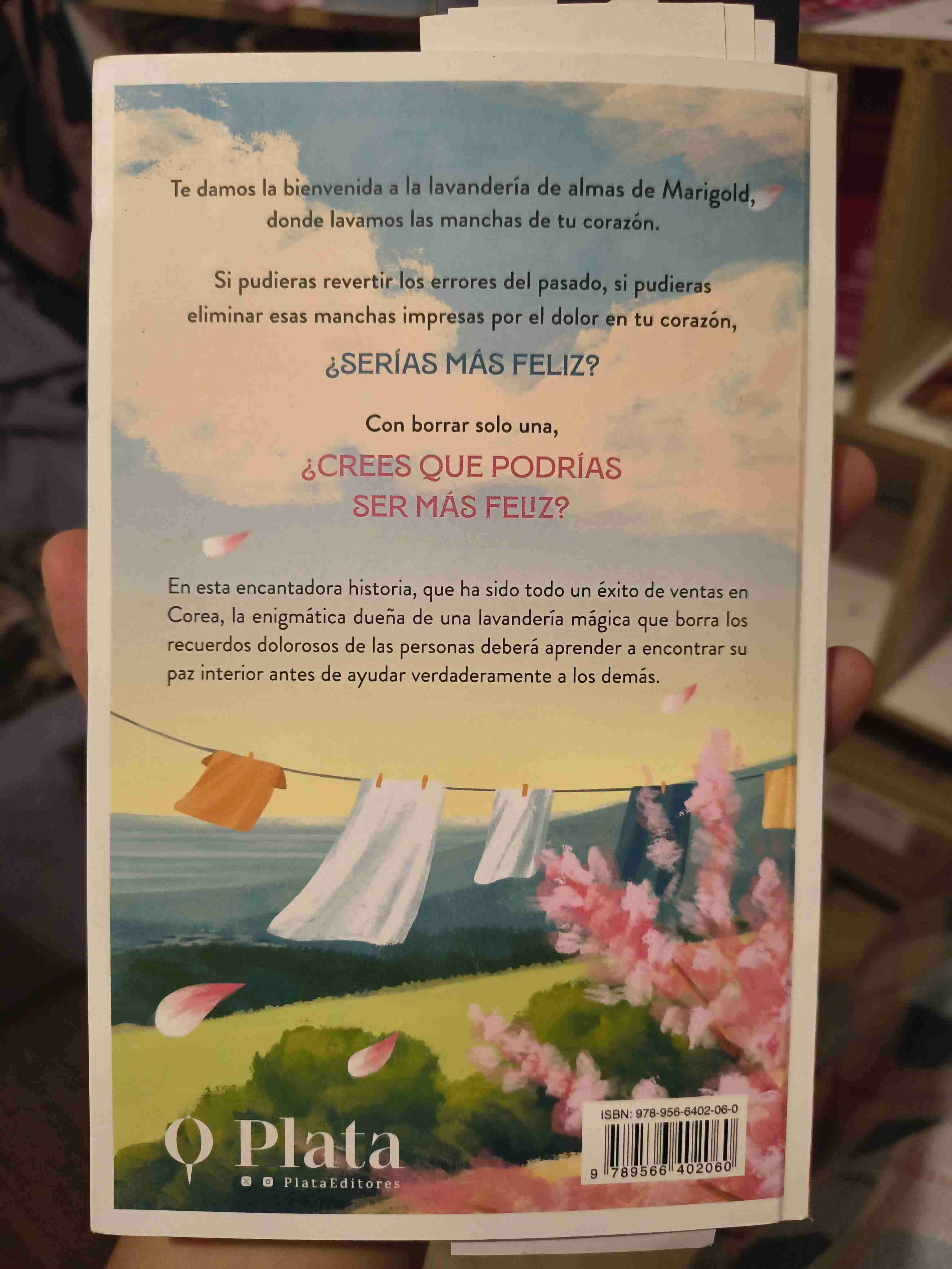 Libro 'La Lavandería de Almas' - miniatura 2