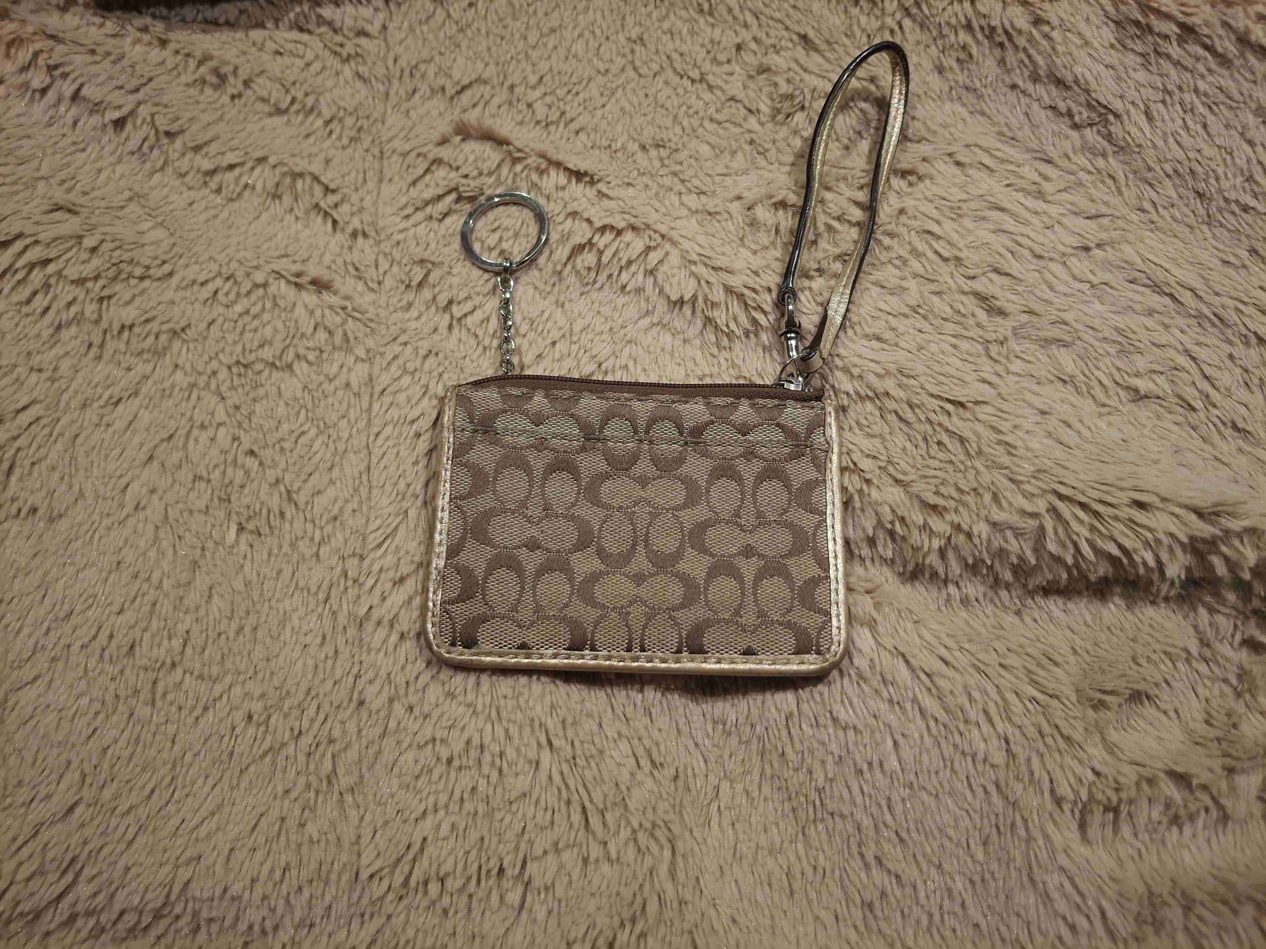 Mini skinny coach - miniatura 1