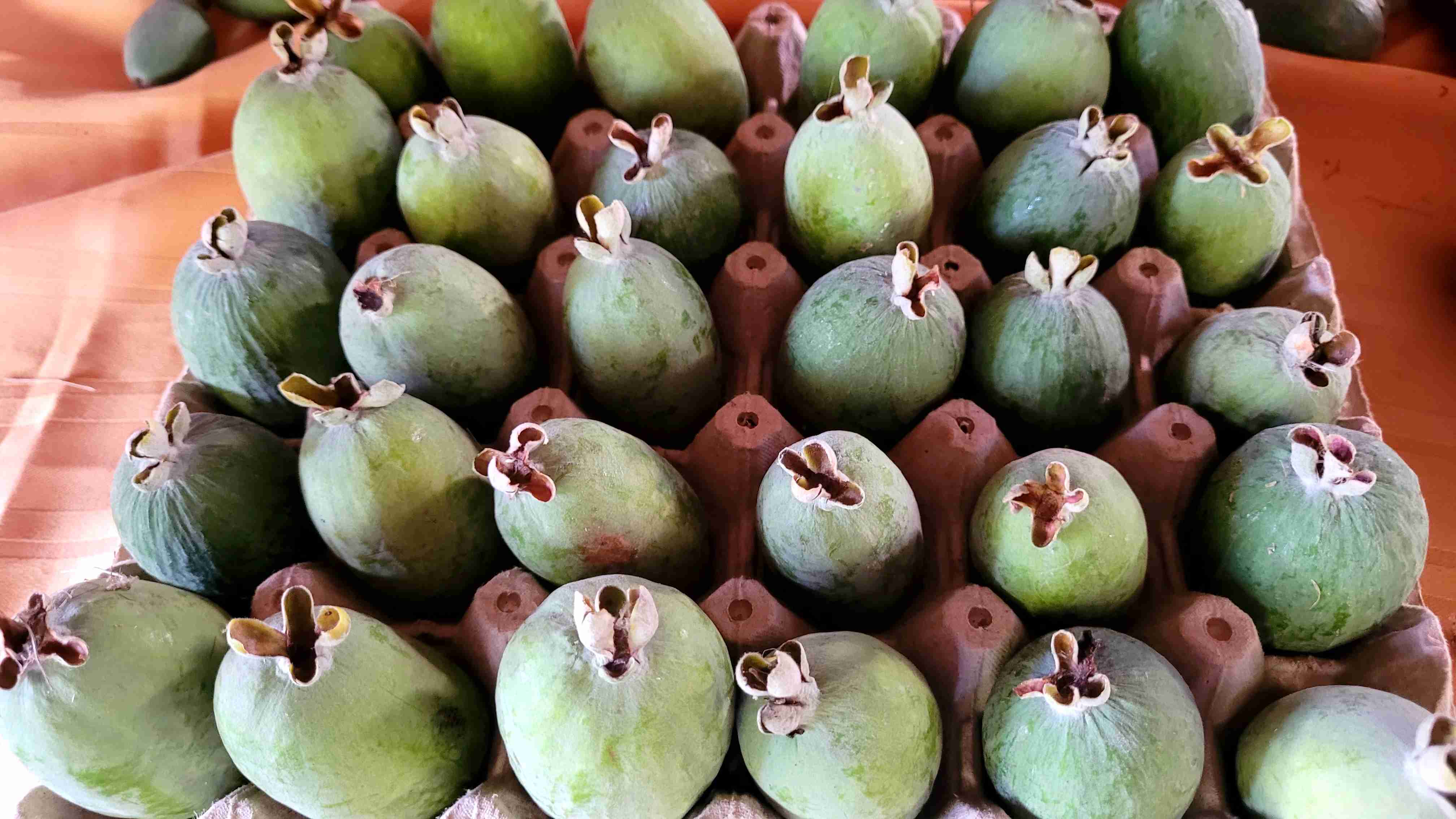 Caja de feijoas frescas - 1