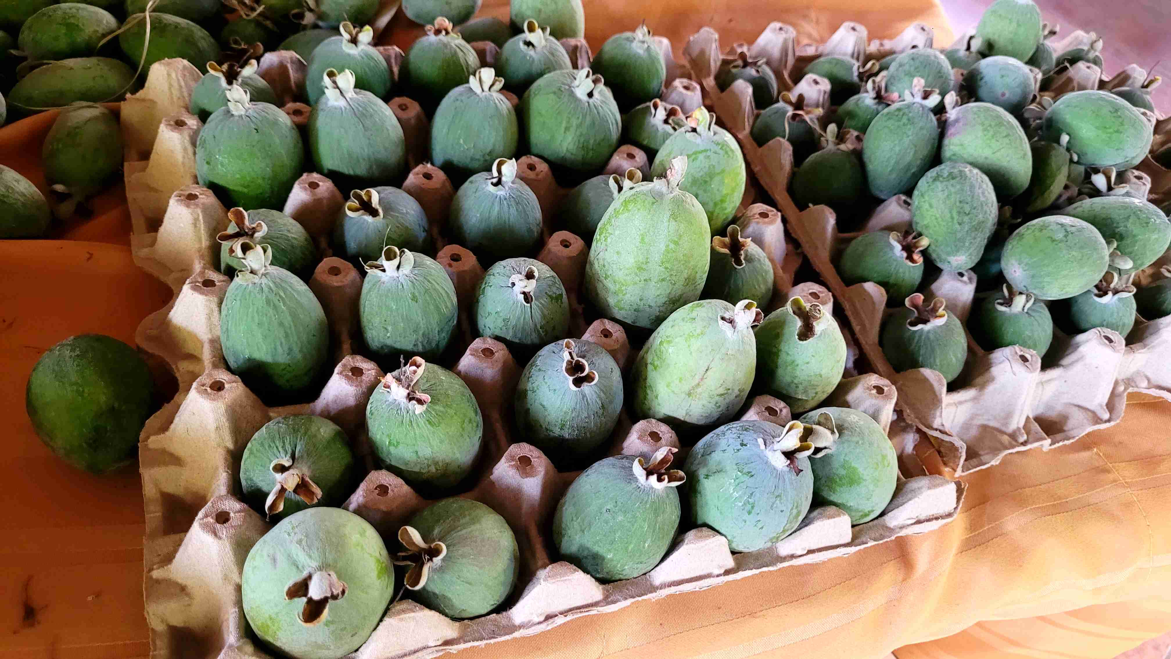 Caja de feijoas frescas - 2