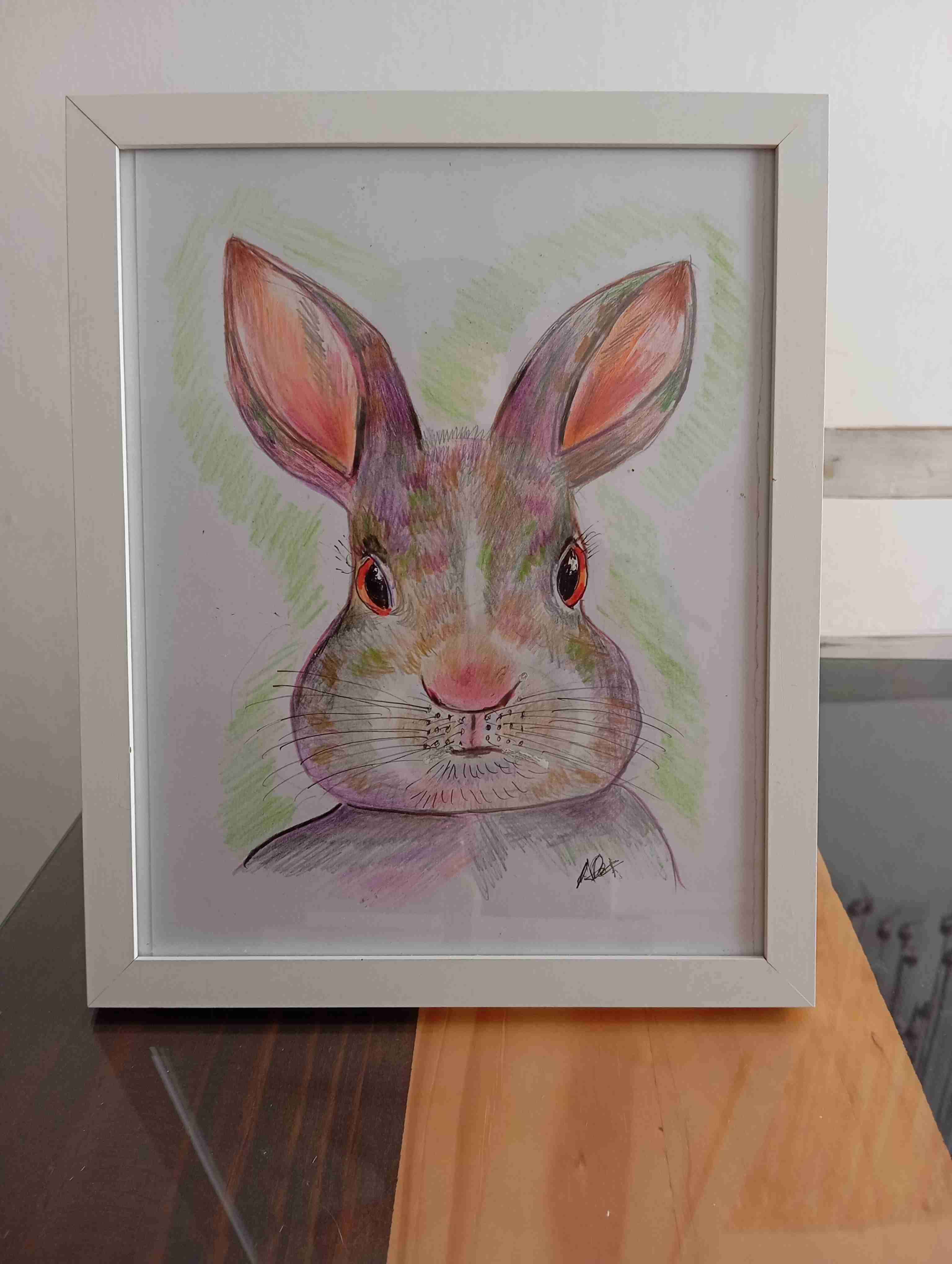 Cuadro con dibujo de conejo