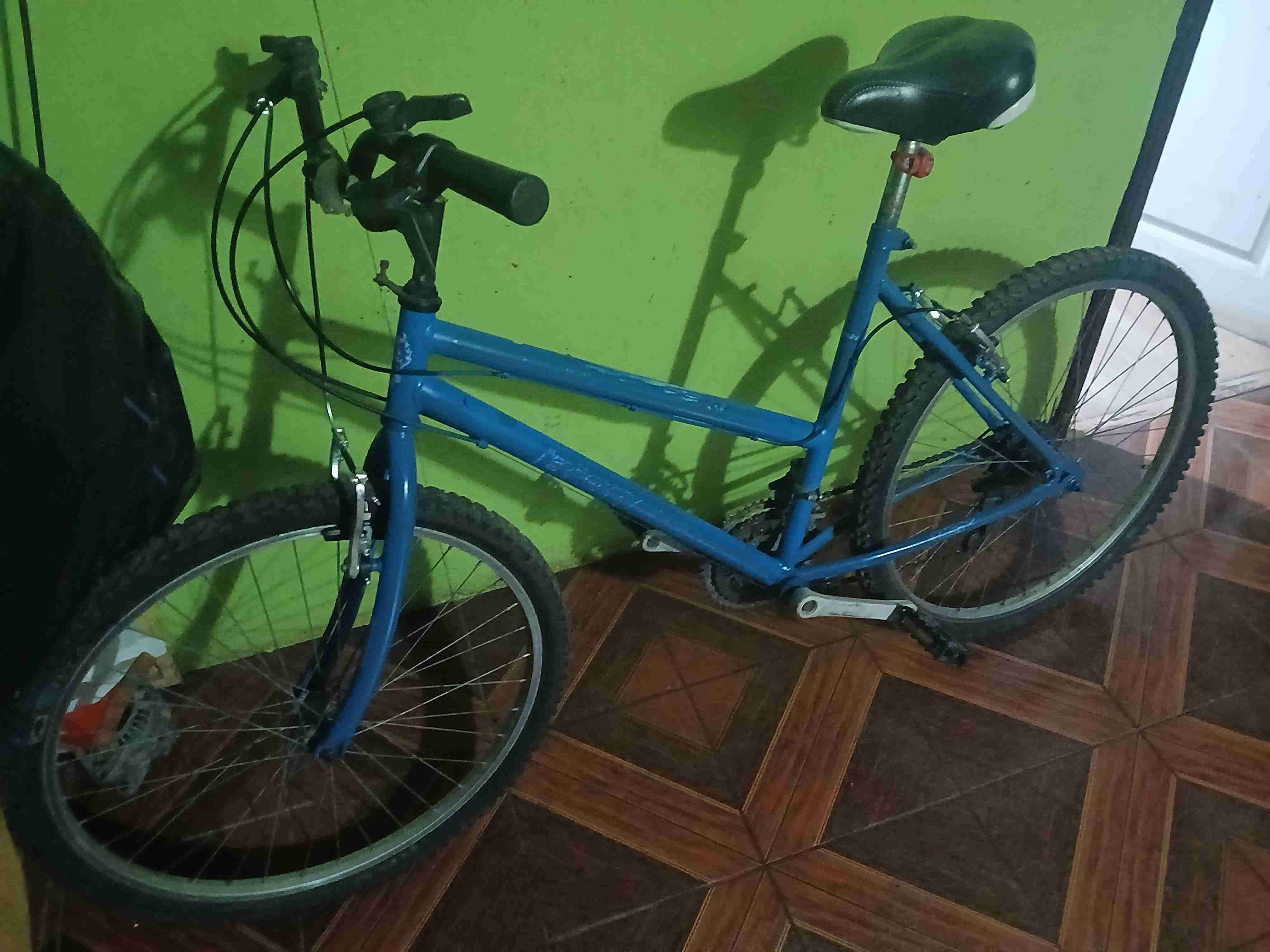 Bicicleta montaña azul - miniatura 3