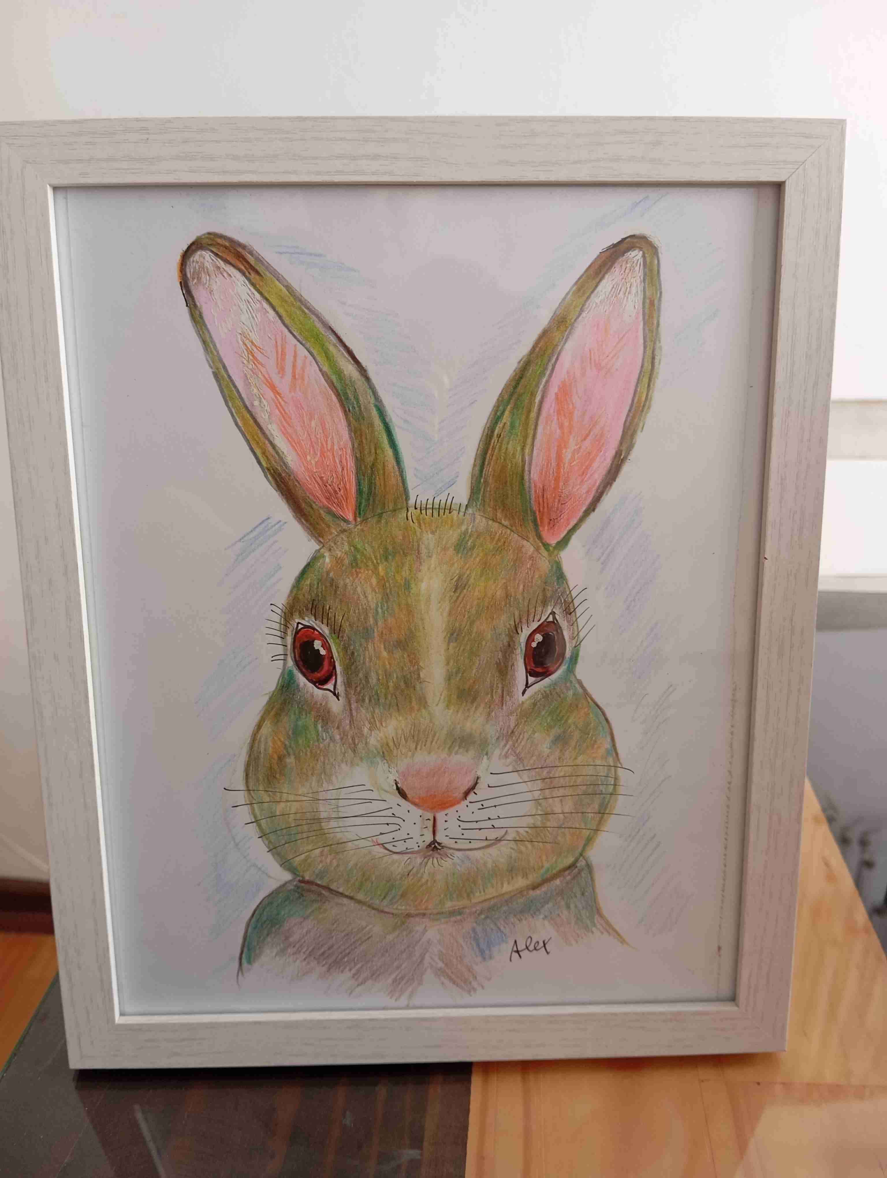 Cuadro con dibujo de conejo
