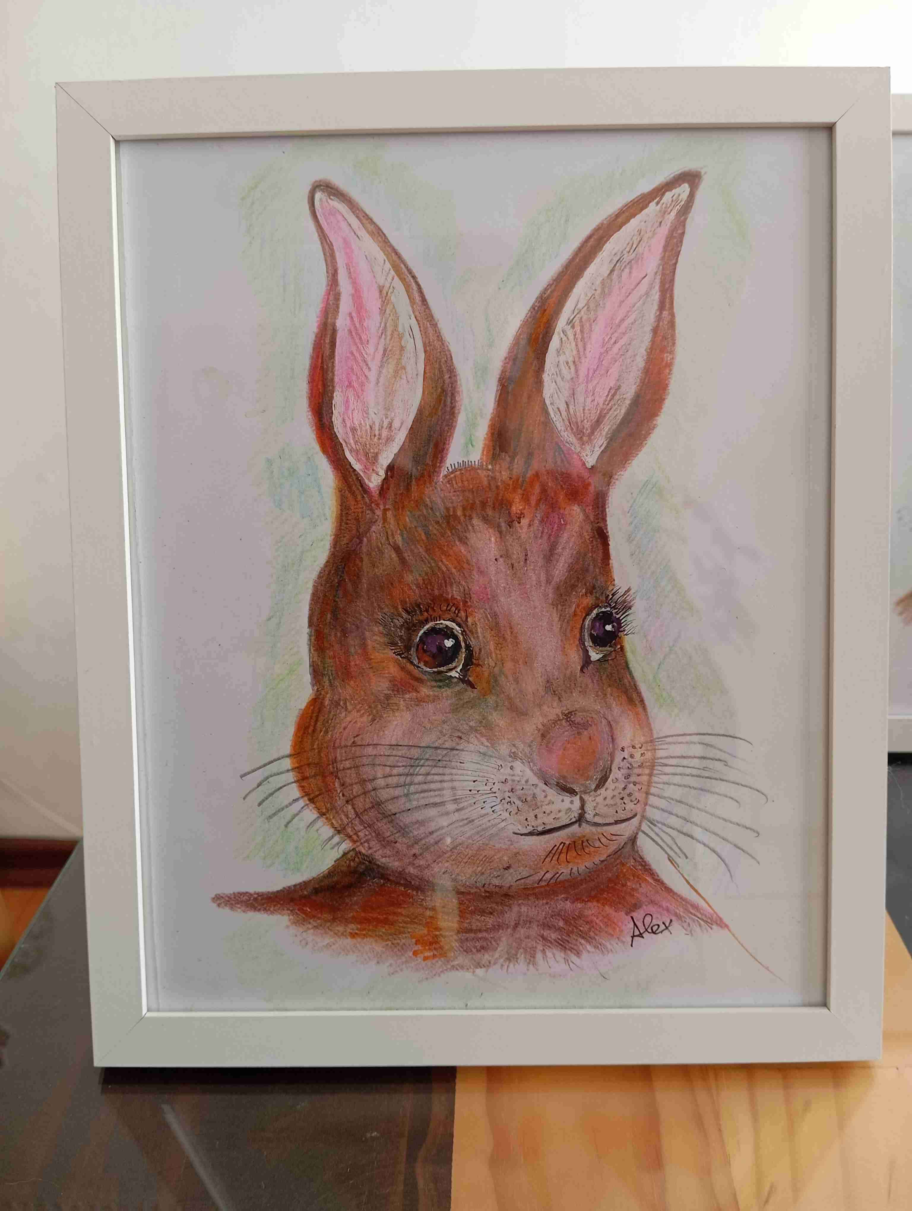 Cuadro con ilustración de conejo