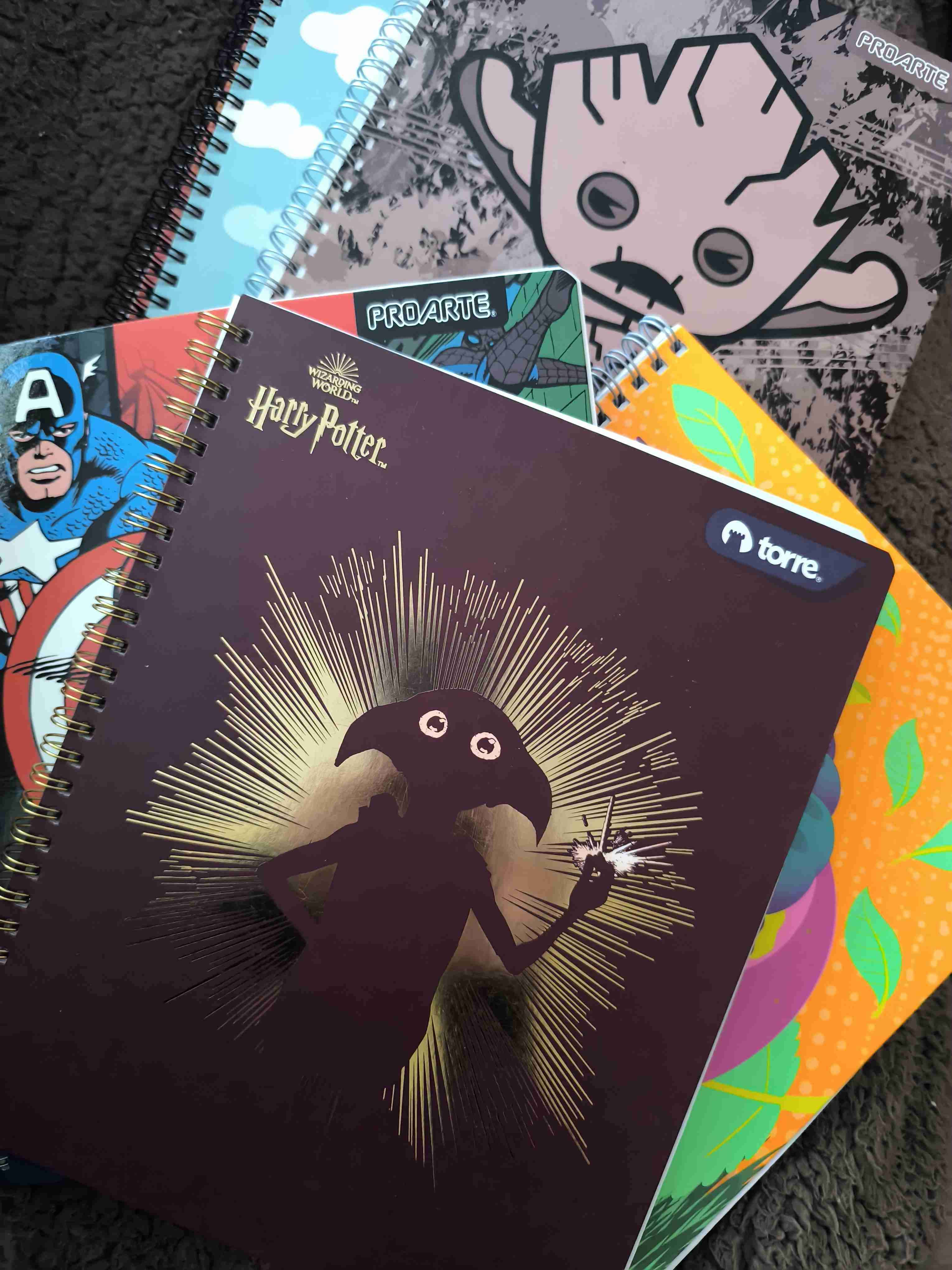 Cuadernos ProArte temáticos - miniatura 1