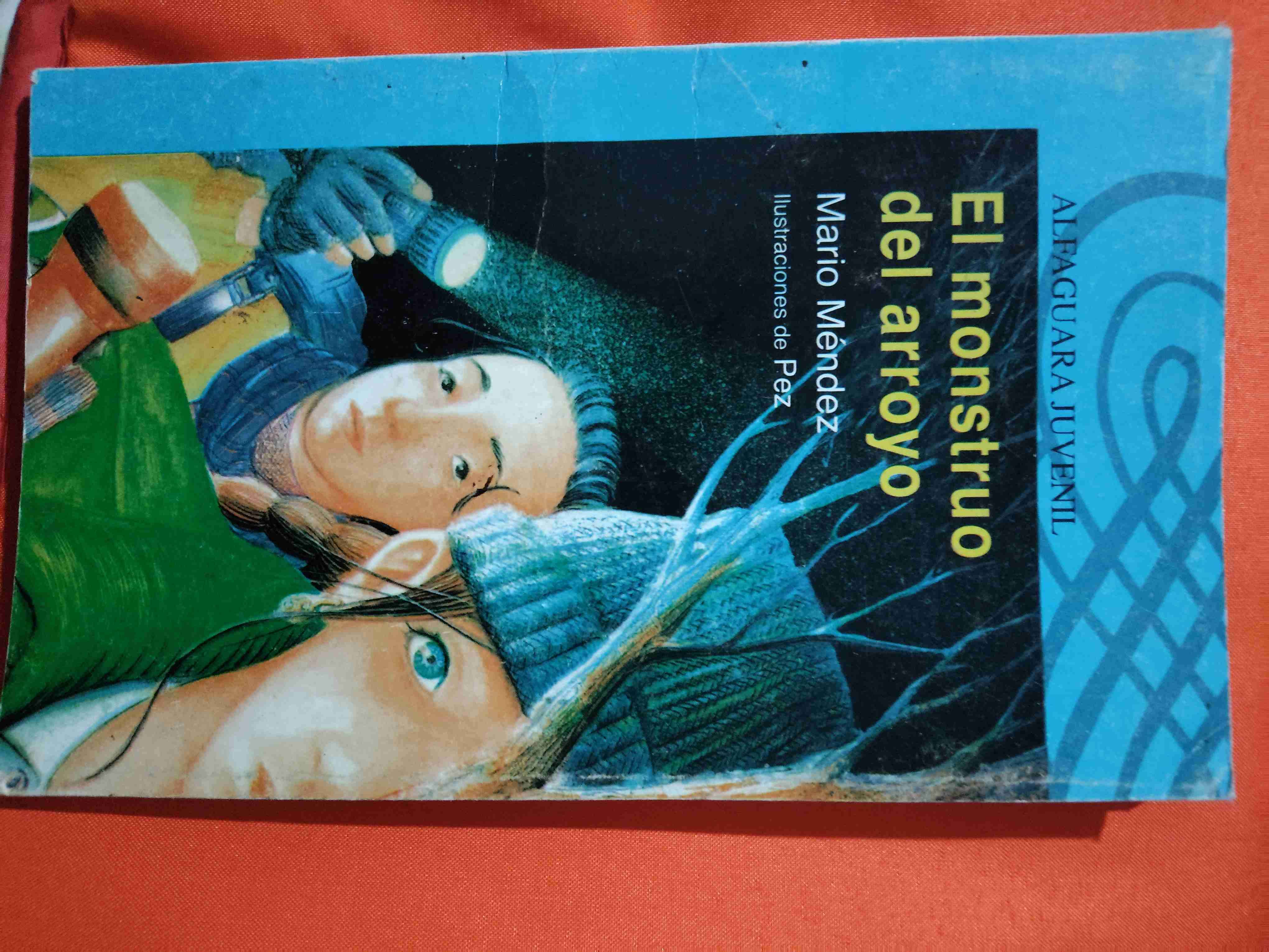 Libro El monstruo del arroyo