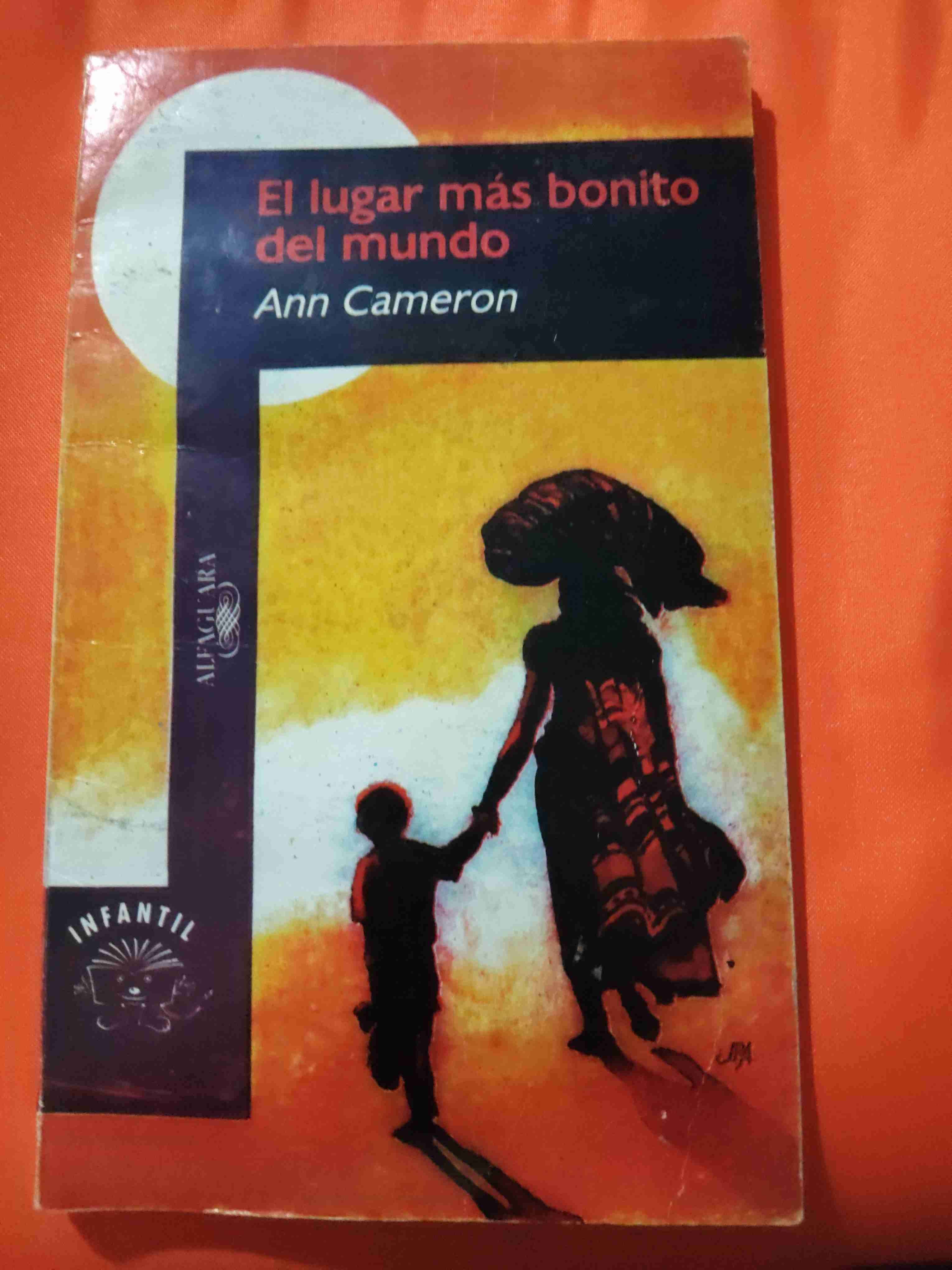 Libro El Lugar Más Bonito del Mundo