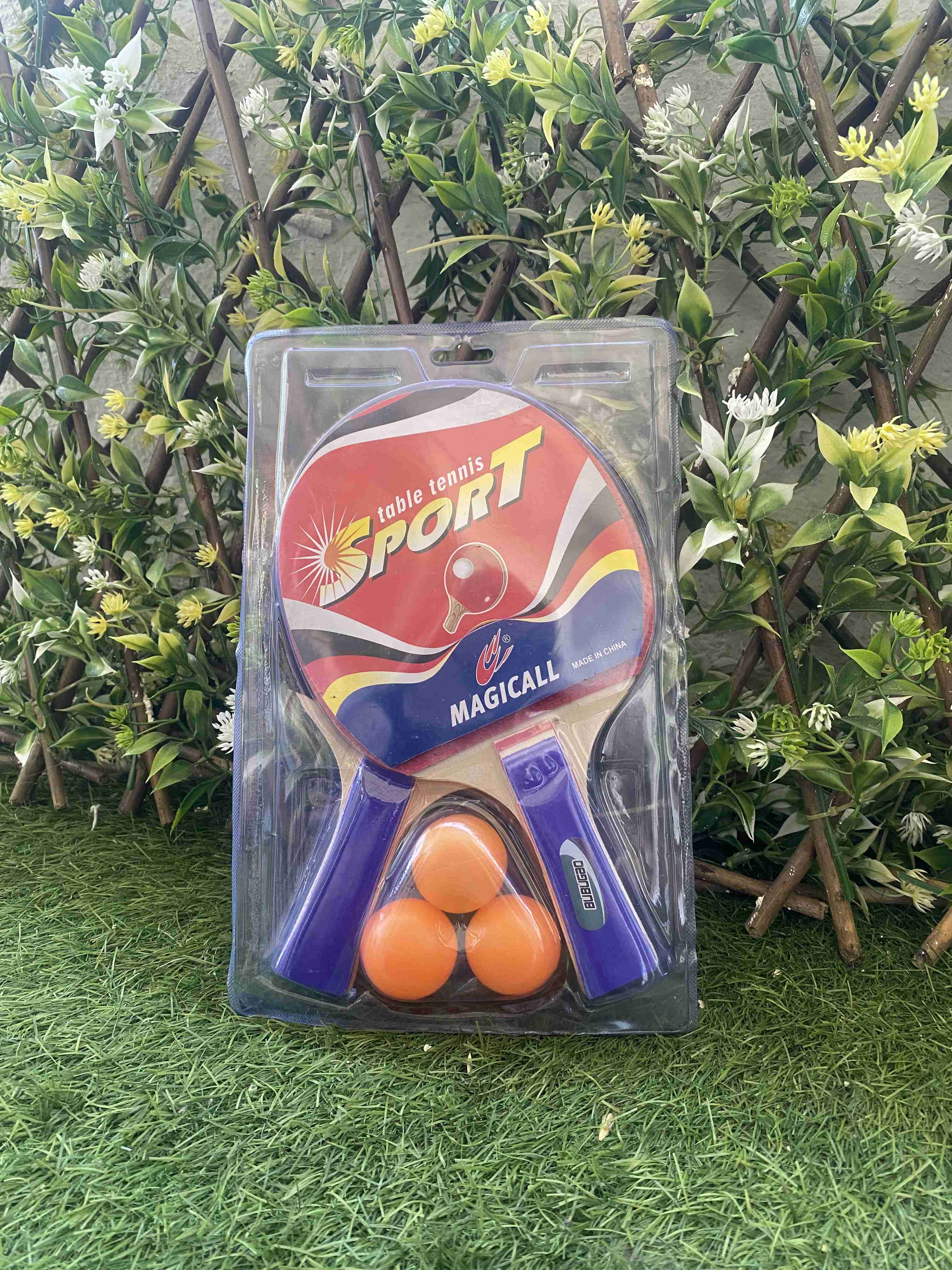 Set de paletas de ping pong