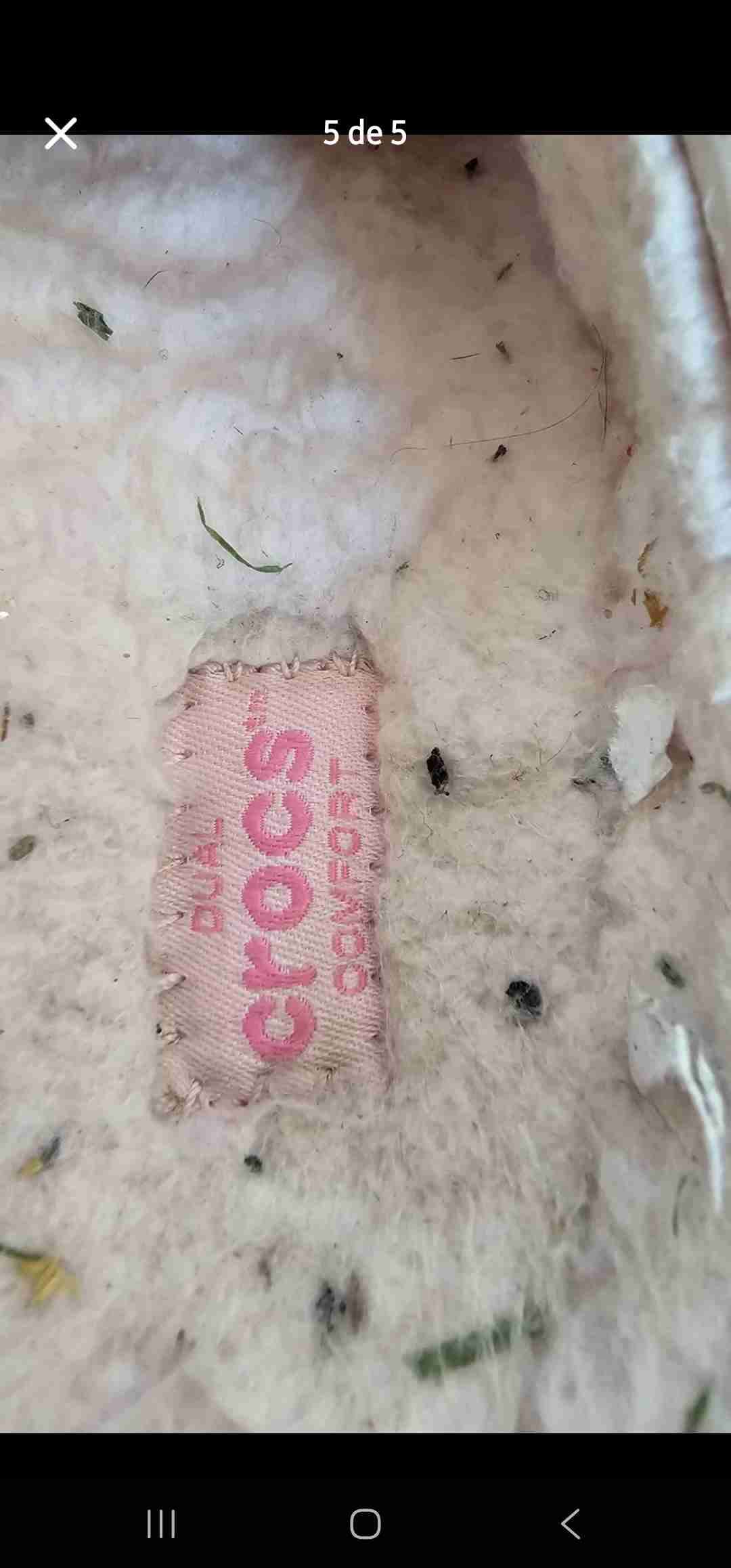 Crocs doradas con brillo Niña - miniatura 5