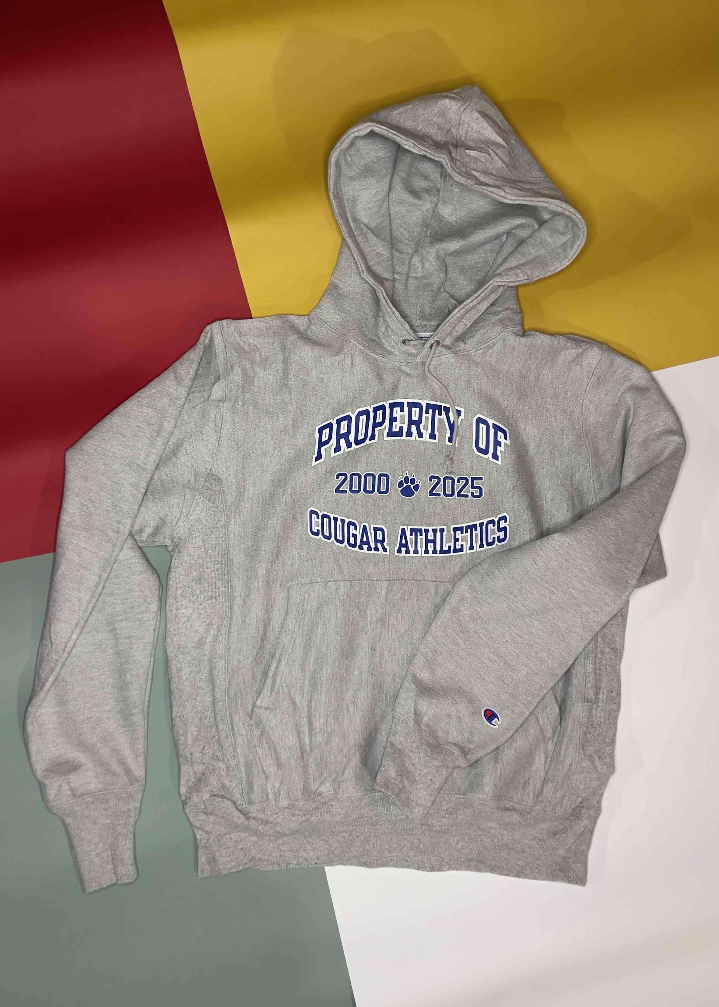 Polerón gris Champion Reverse Weave - miniatura 2