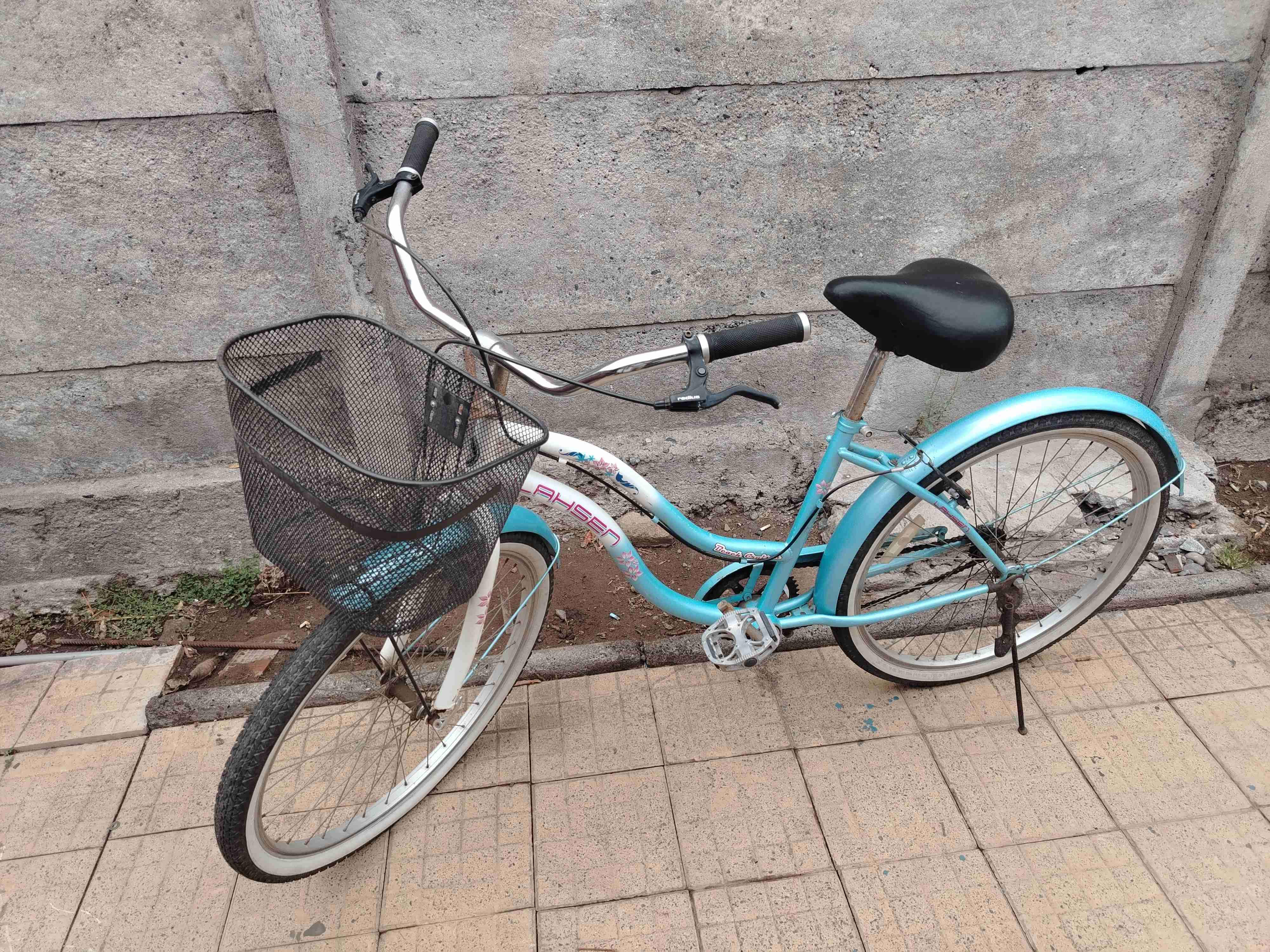 Bicicleta azul con canasto - miniatura 2