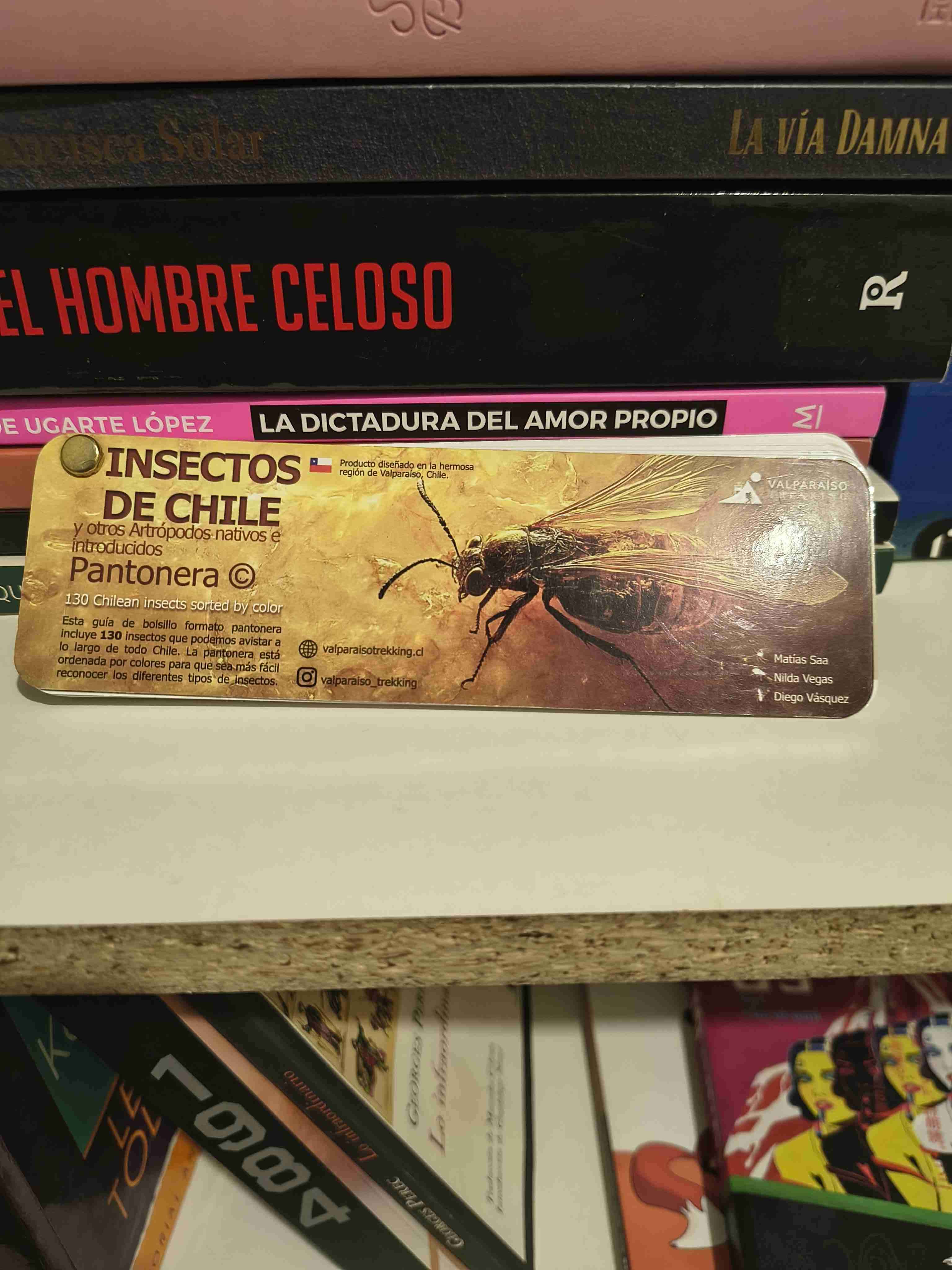 Guía Insectos de Chile - miniatura 1