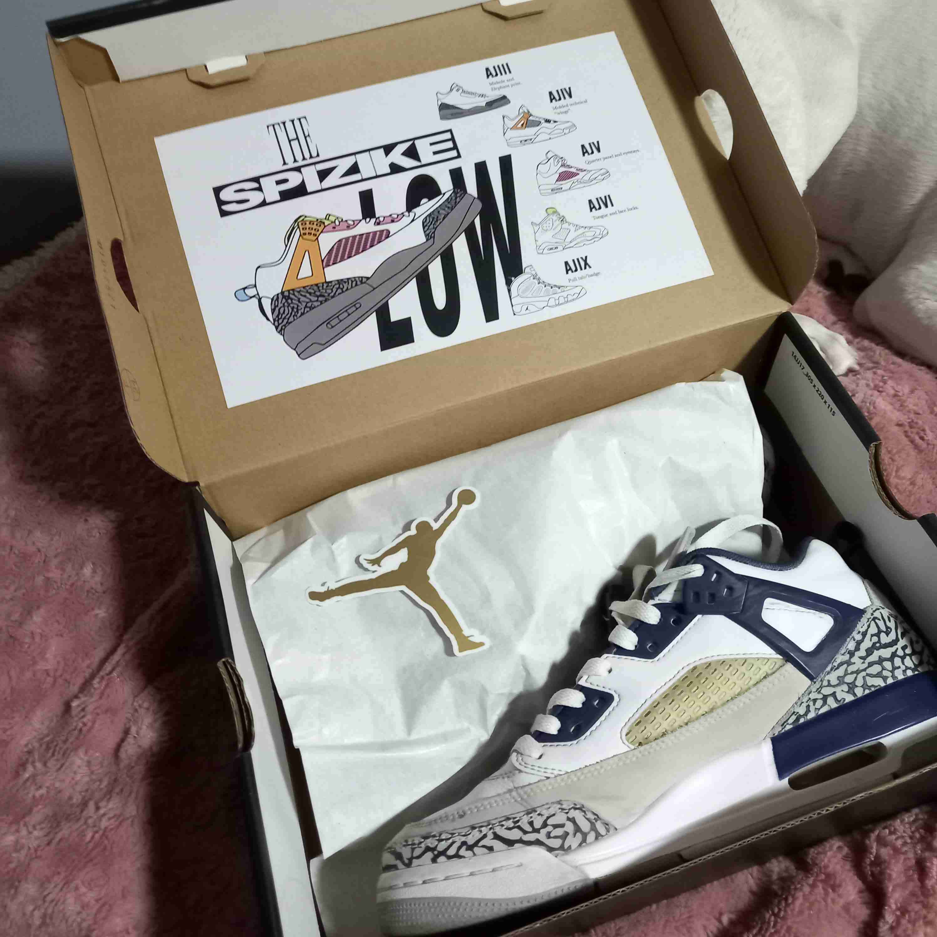 Jordan spizike low - 5