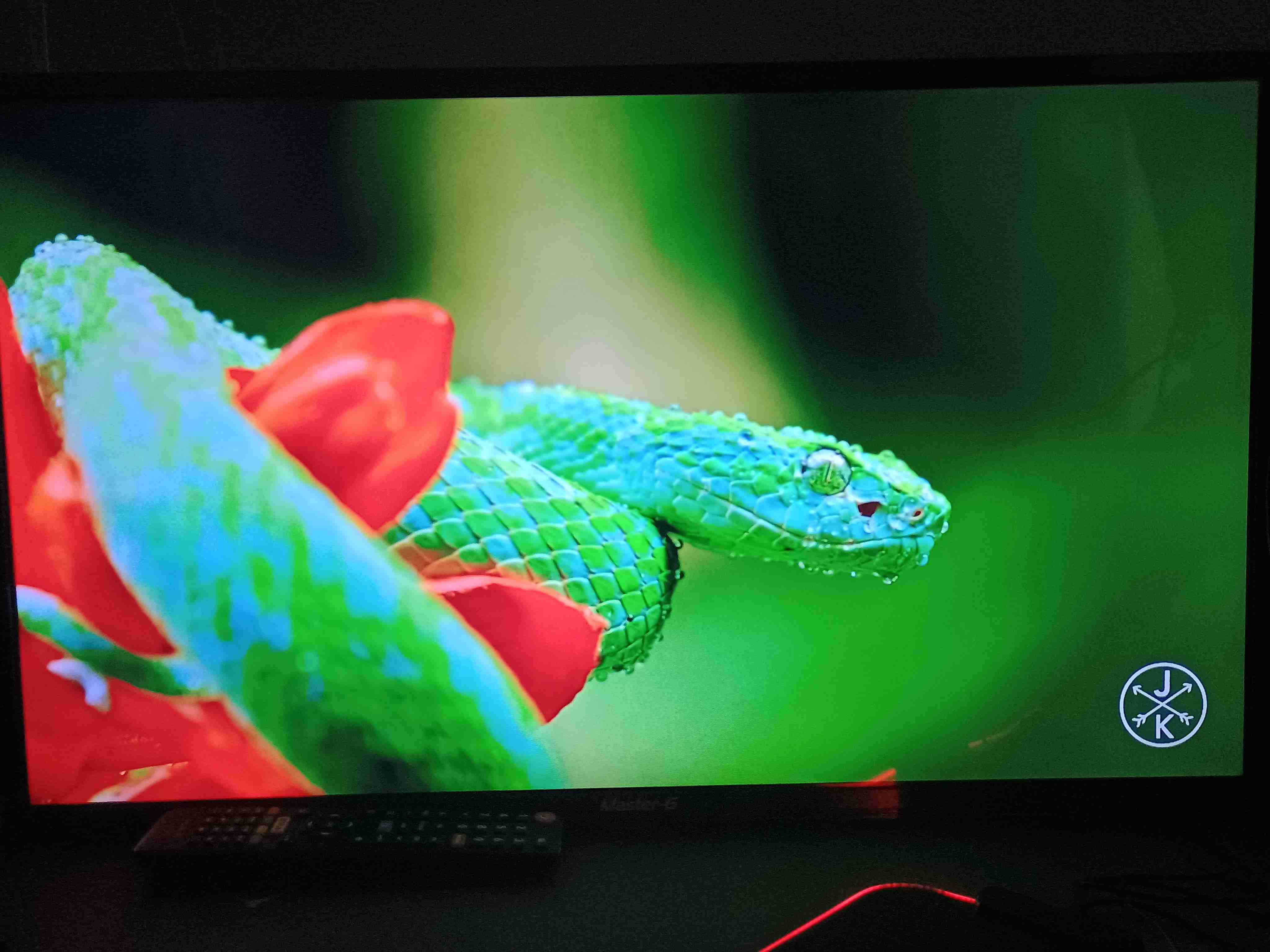 Televisor Master-G 31 pulgadas - miniatura 1