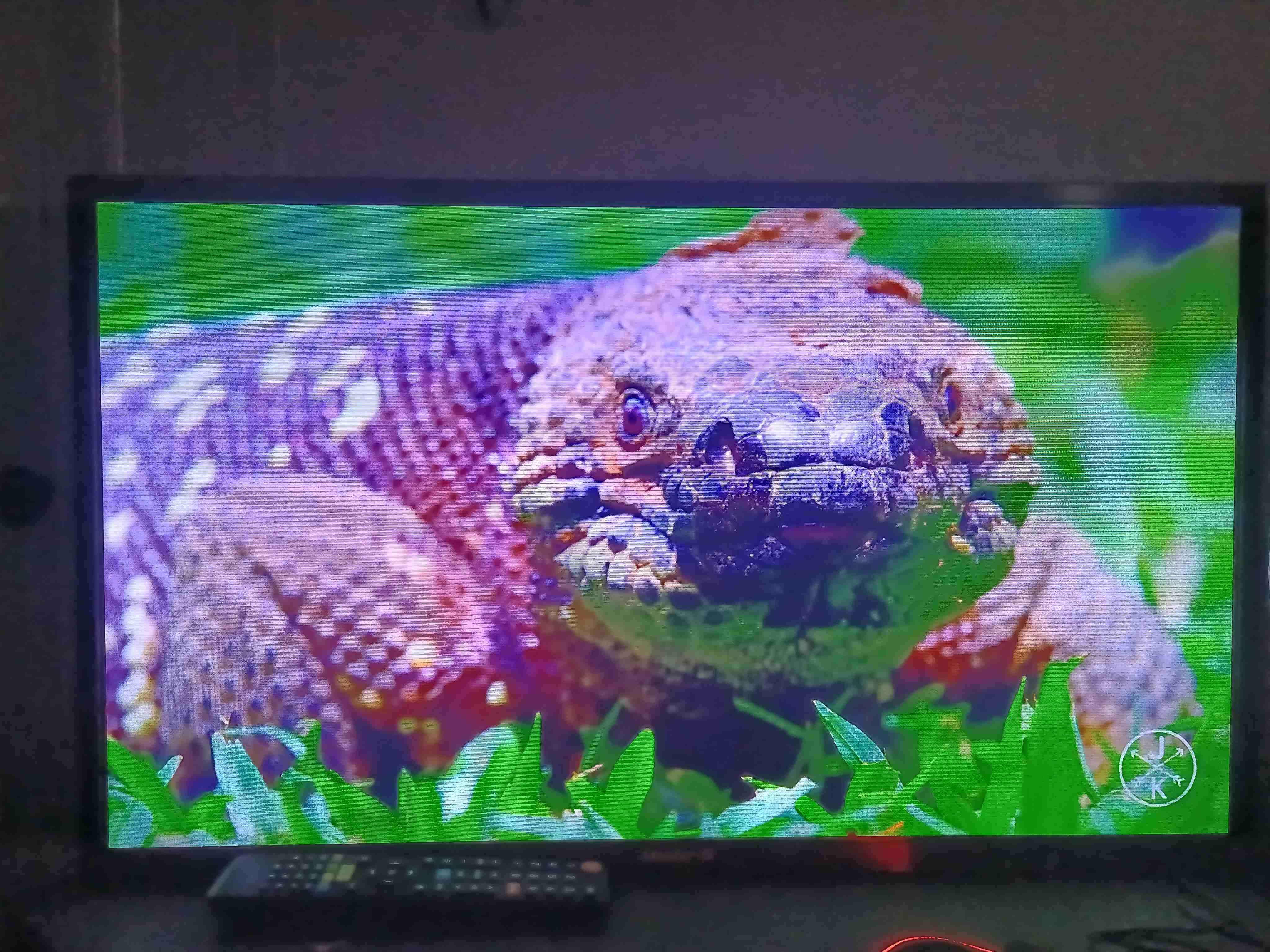 Televisor Master-G 31 pulgadas - miniatura 2