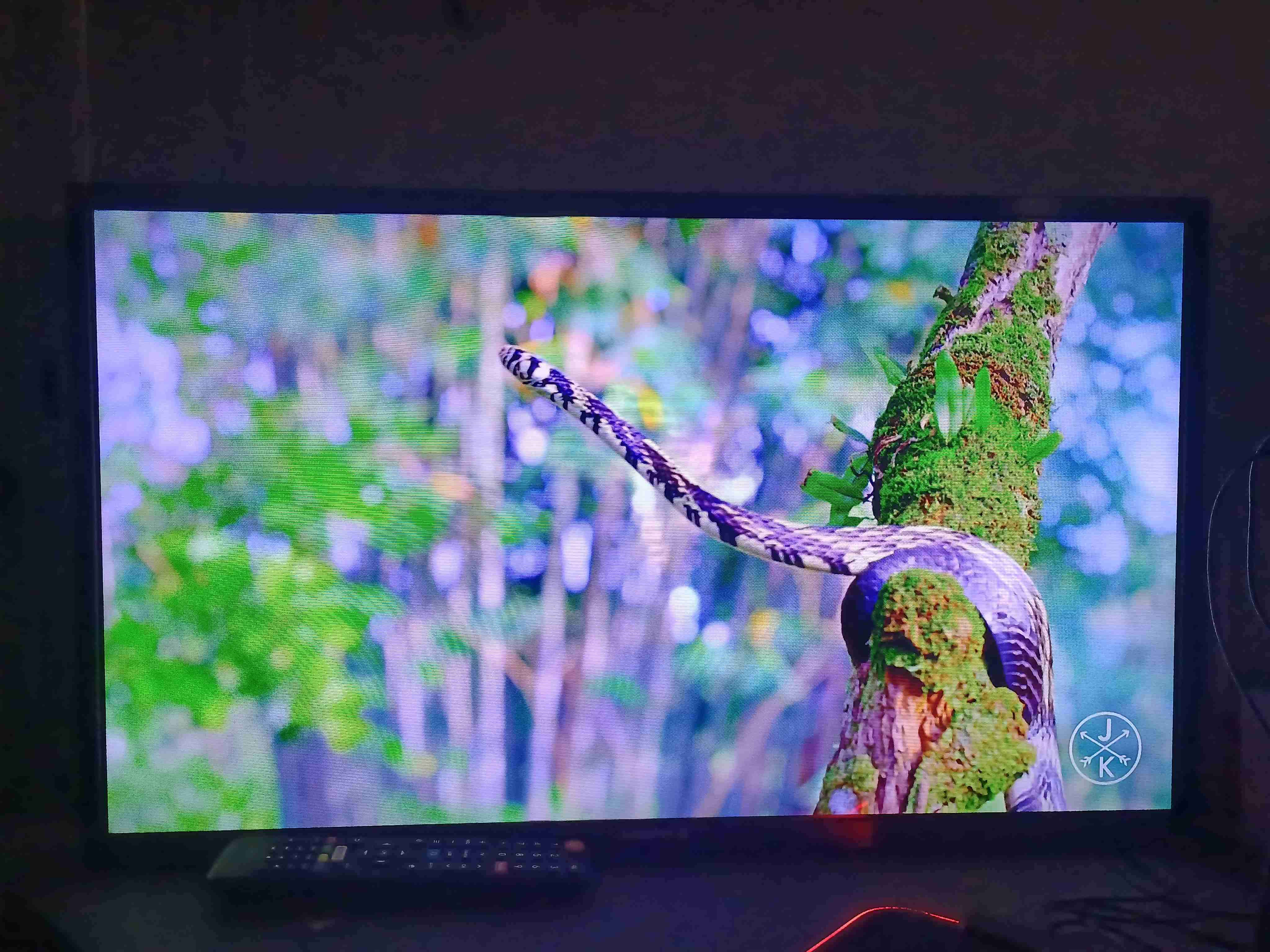 Televisor Master-G 31 pulgadas - miniatura 3