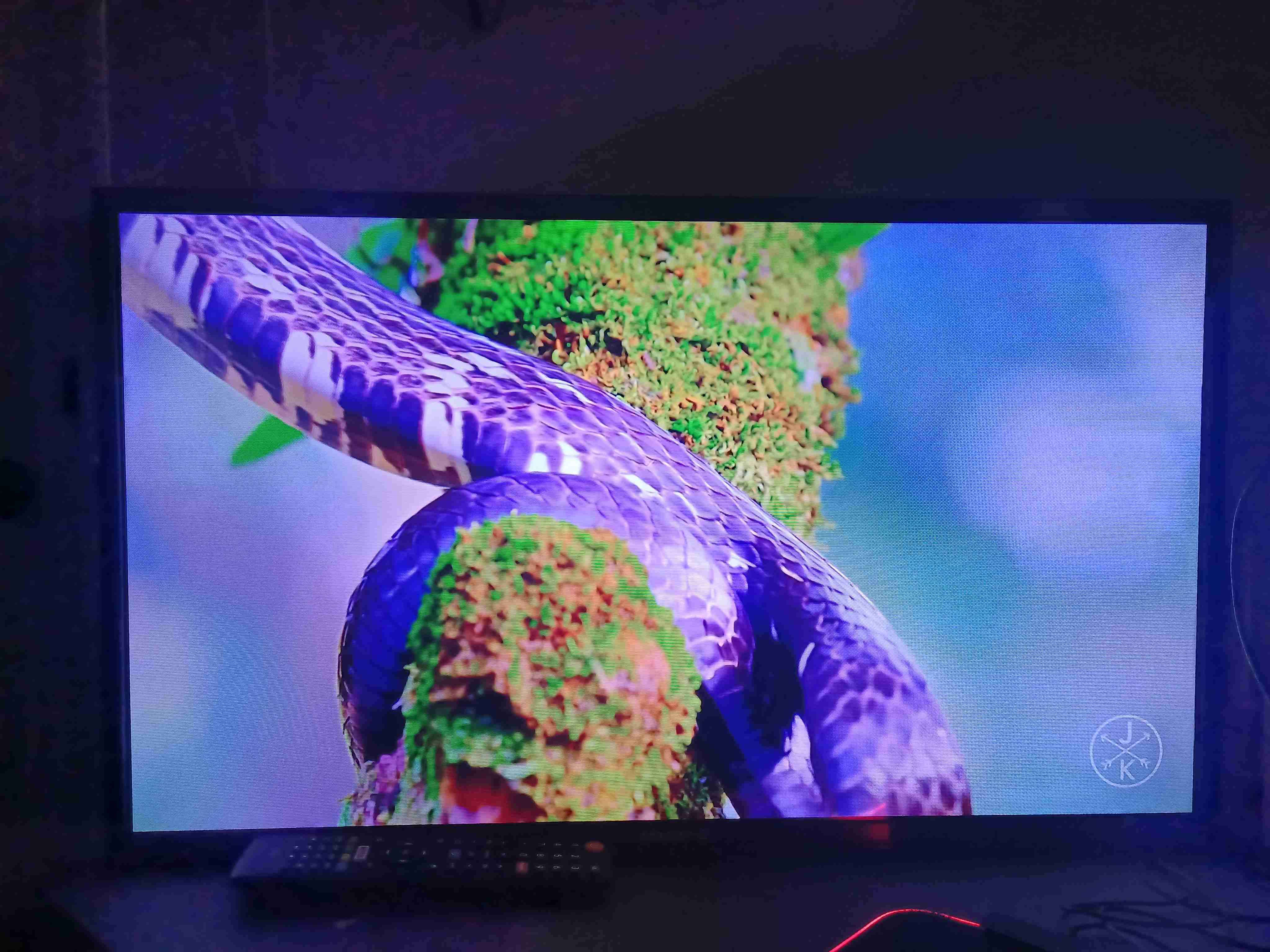 Televisor Master-G 31 pulgadas - miniatura 4