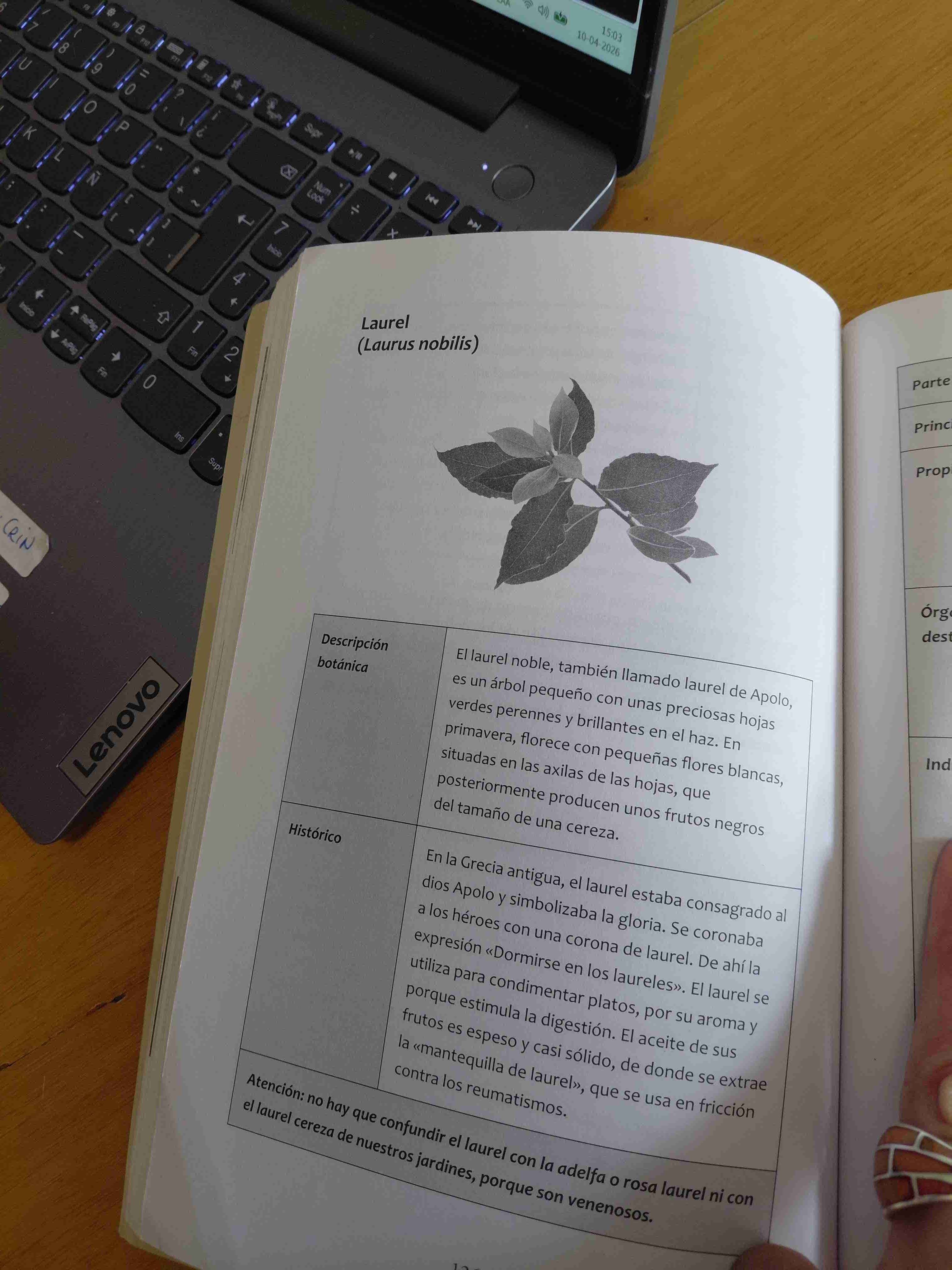 Libro Los Antiinflamatorios Naturales - miniatura 4