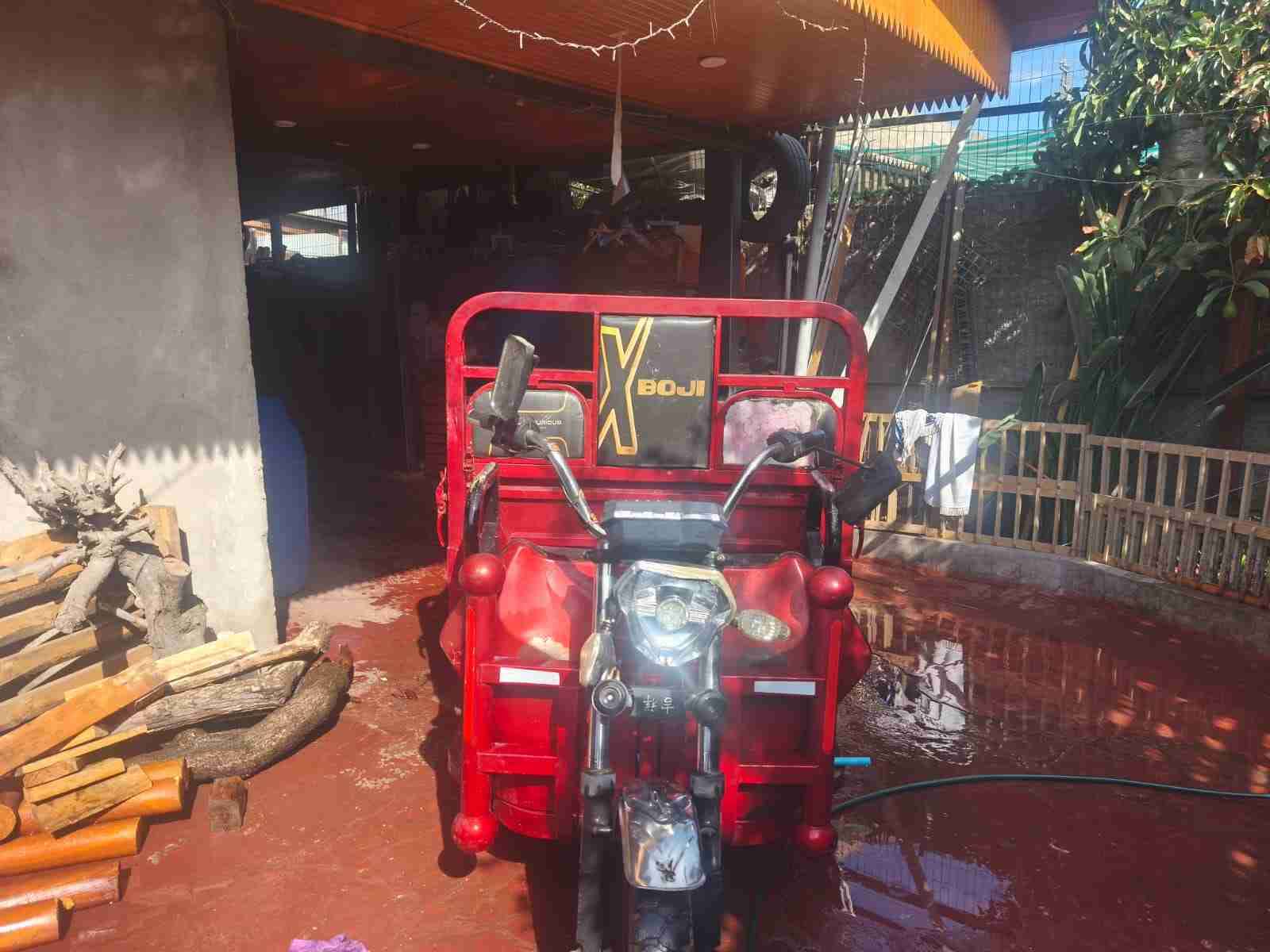 Carro de carga Boji rojo - miniatura 3