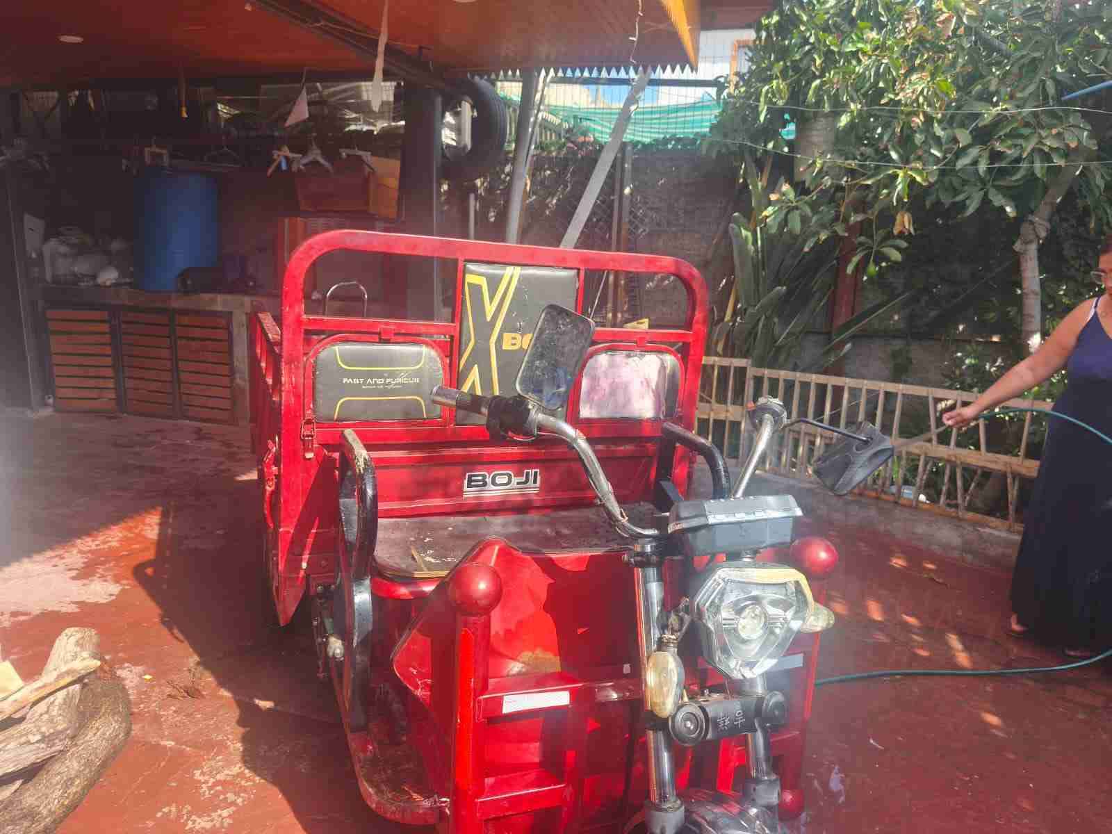 Carro de carga Boji rojo - miniatura 5