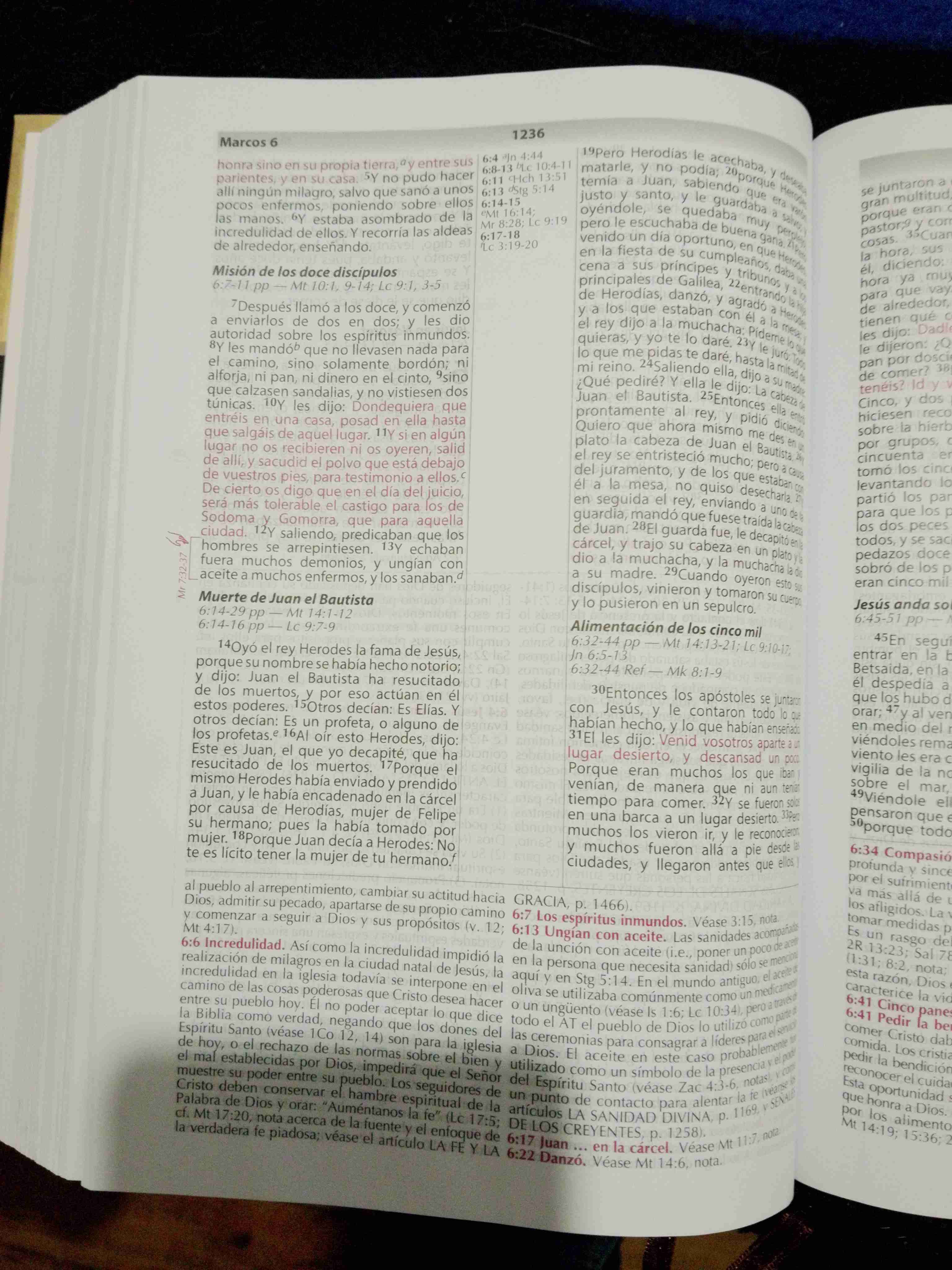 Biblia de Estudio Vida Plena - miniatura 2