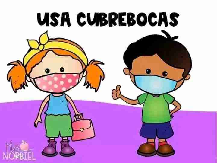 Porter doble cabina, tapabocas, polerones dif imag - miniatura 2