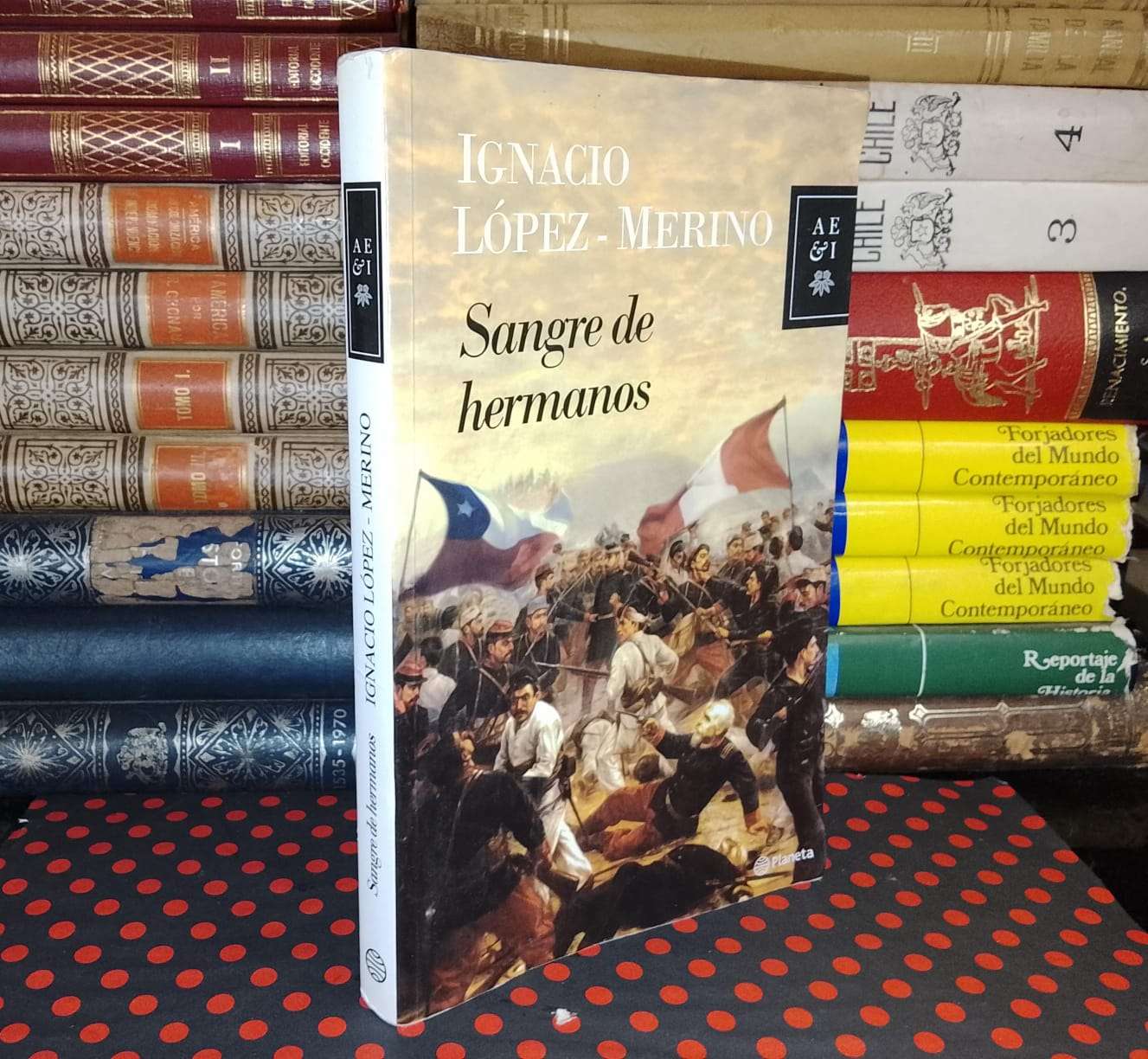 Sangre De Hermanos - Ignacio López - Merino - 1