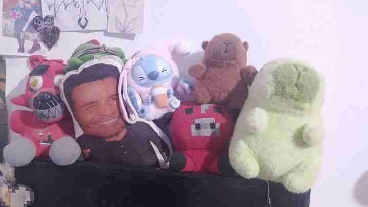 Peluches - miniatura 2