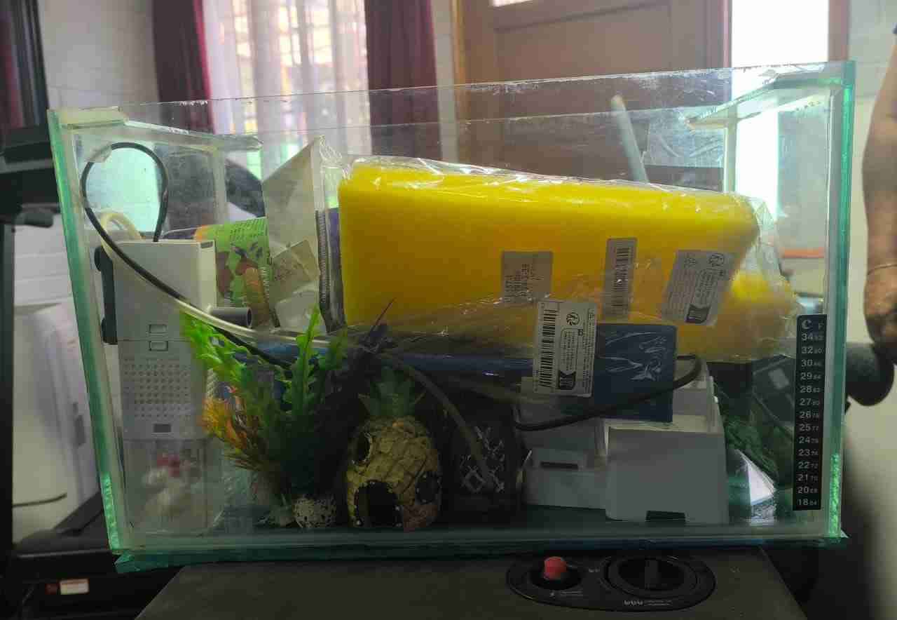 Acuario más accesorios - miniatura 2