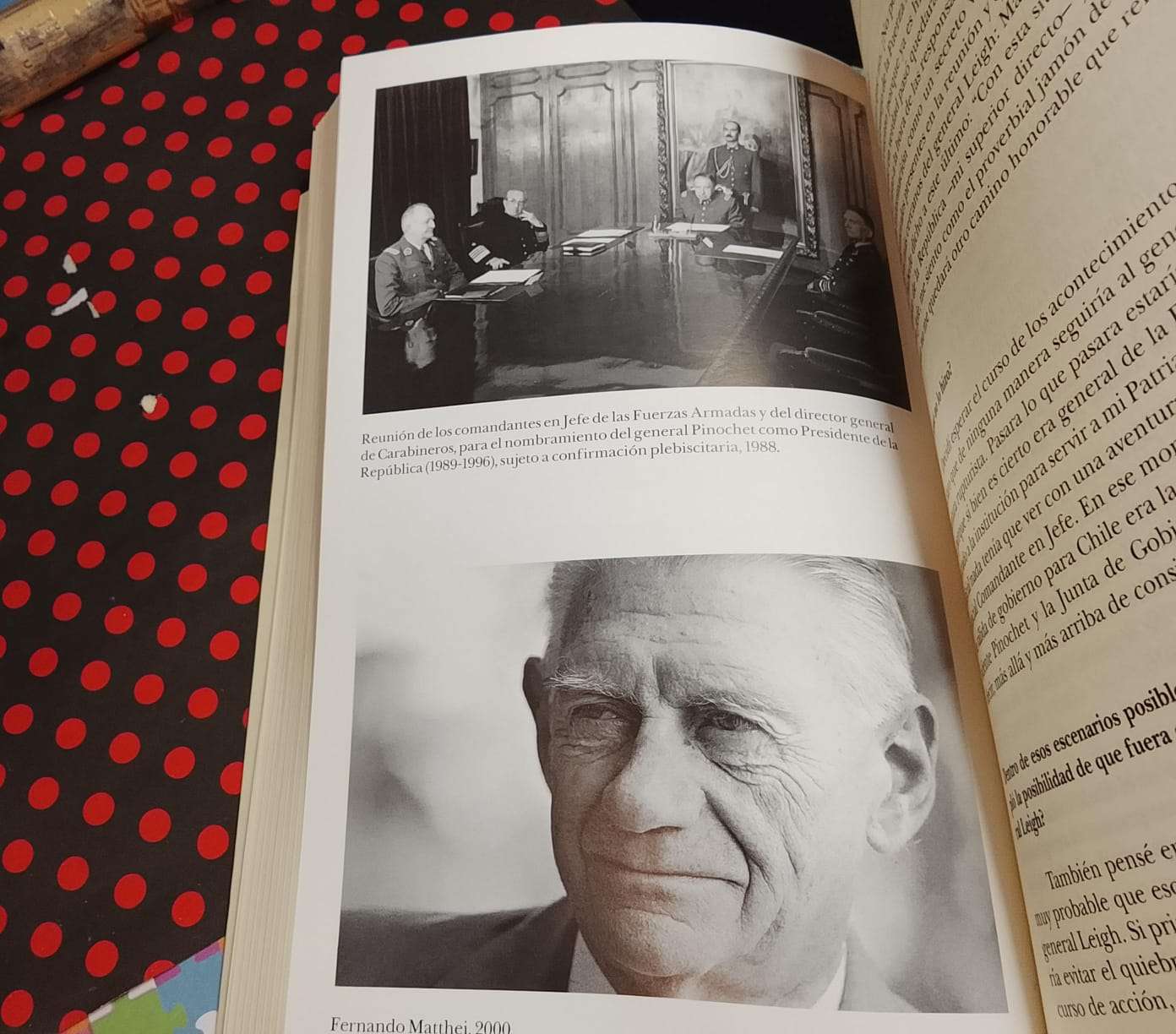 Matthei Mi Testimonio - Patricia Arancibia Clavel - 6