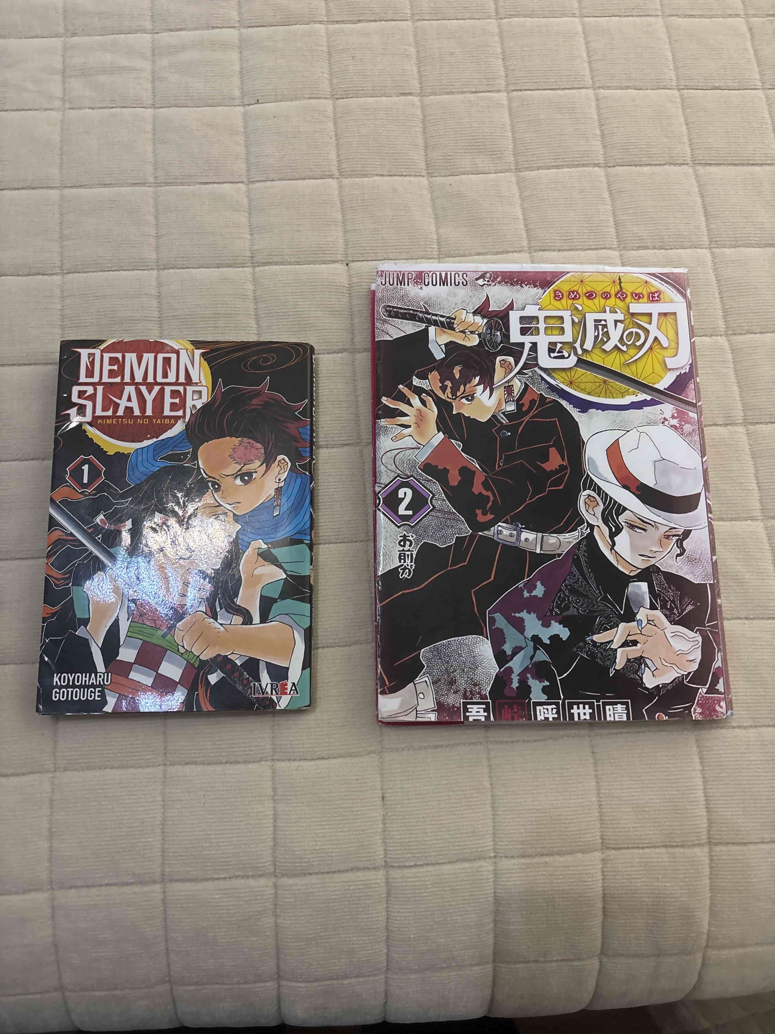 Mangas Demon Slayer Tomos 1 y 2