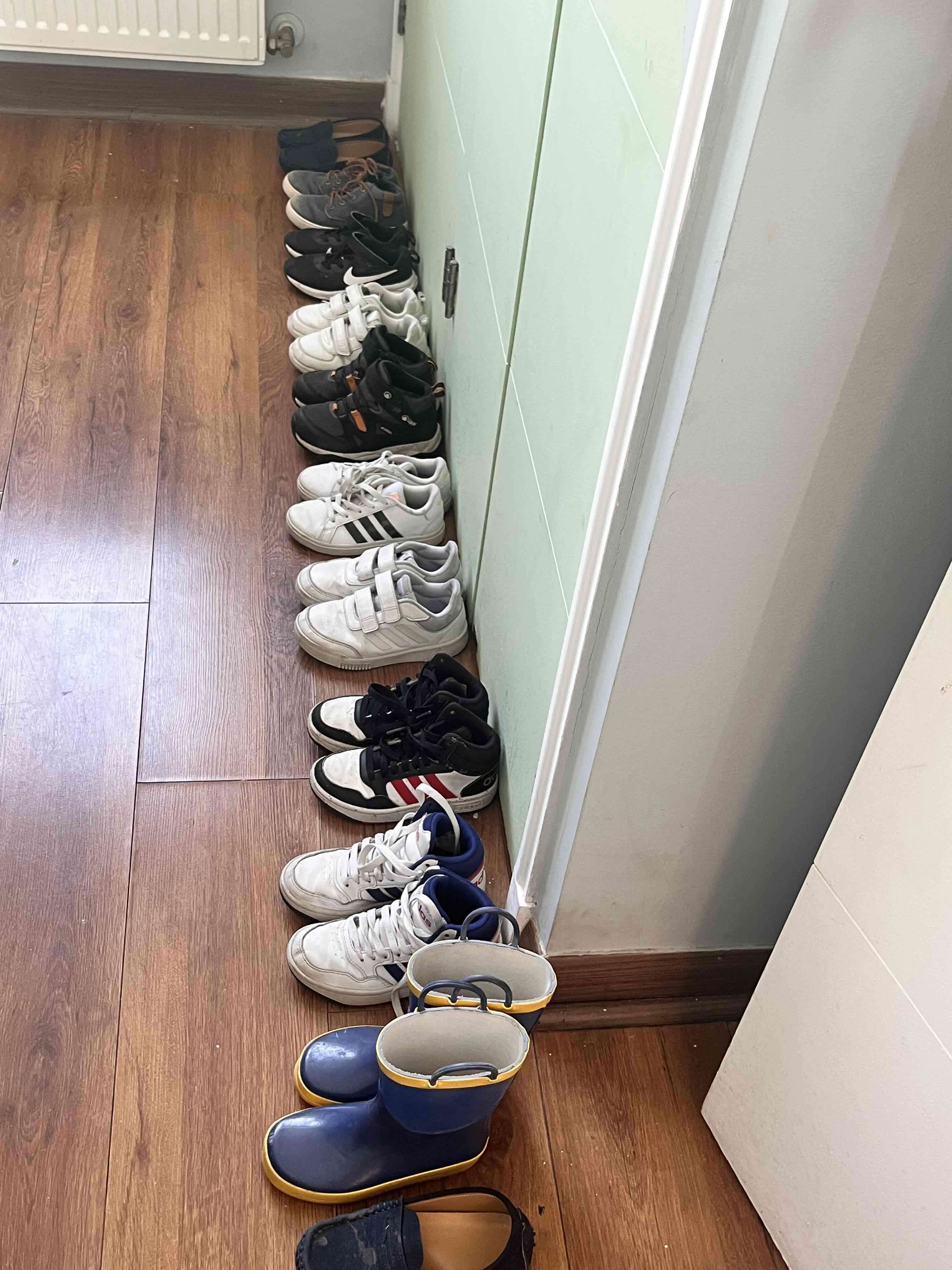 Colección de zapatos de marca