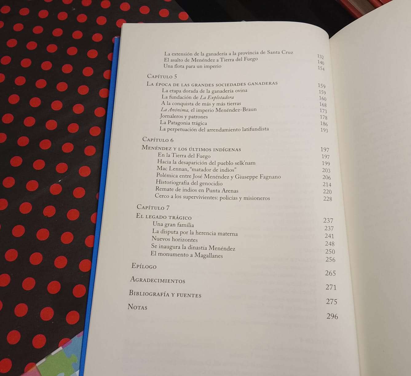 Menéndez Rey De La Patagonia - José Luis Alonso Ma - 4