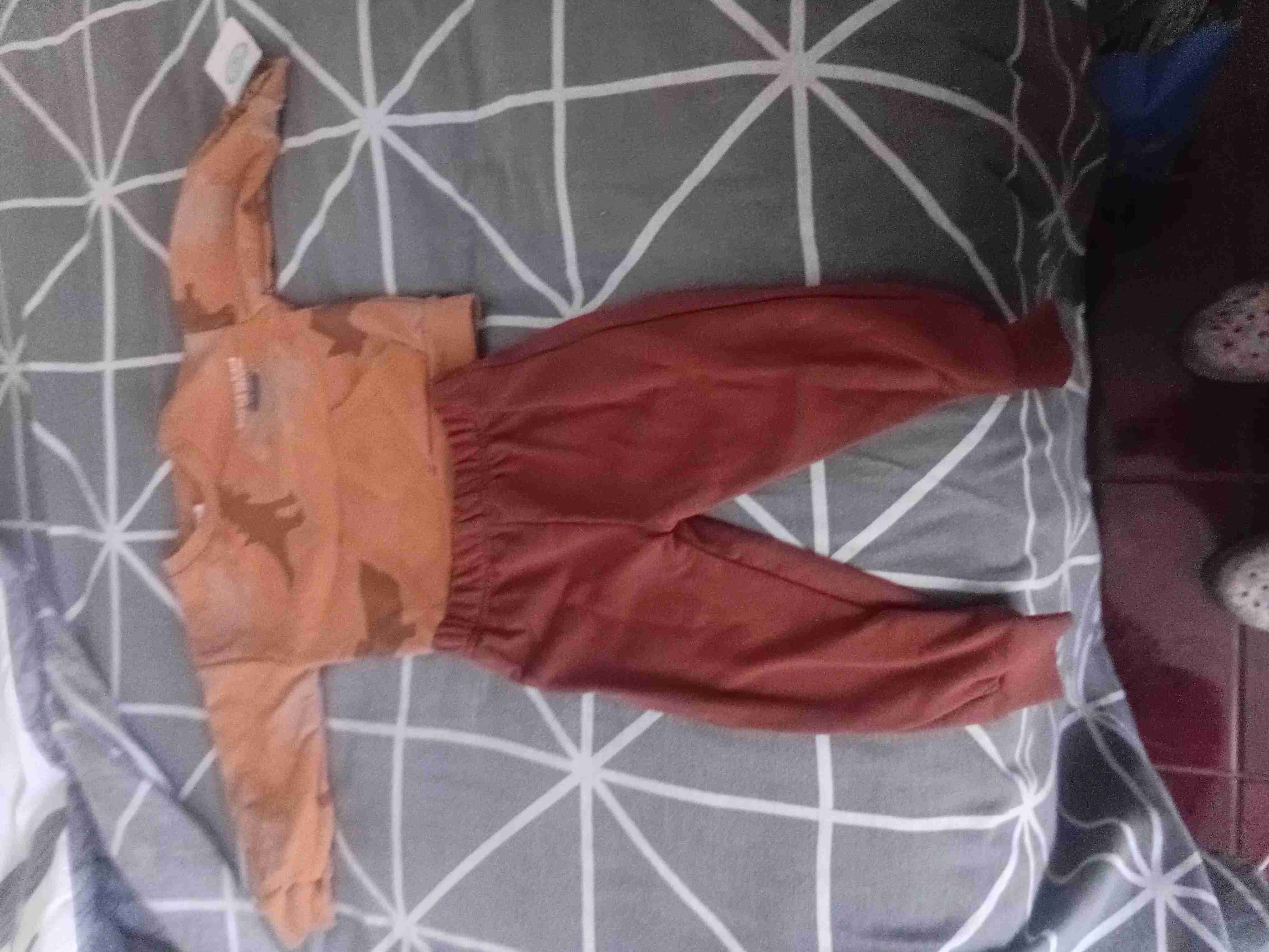 Conjunto infantil naranja con dinosaurios - miniatura 1