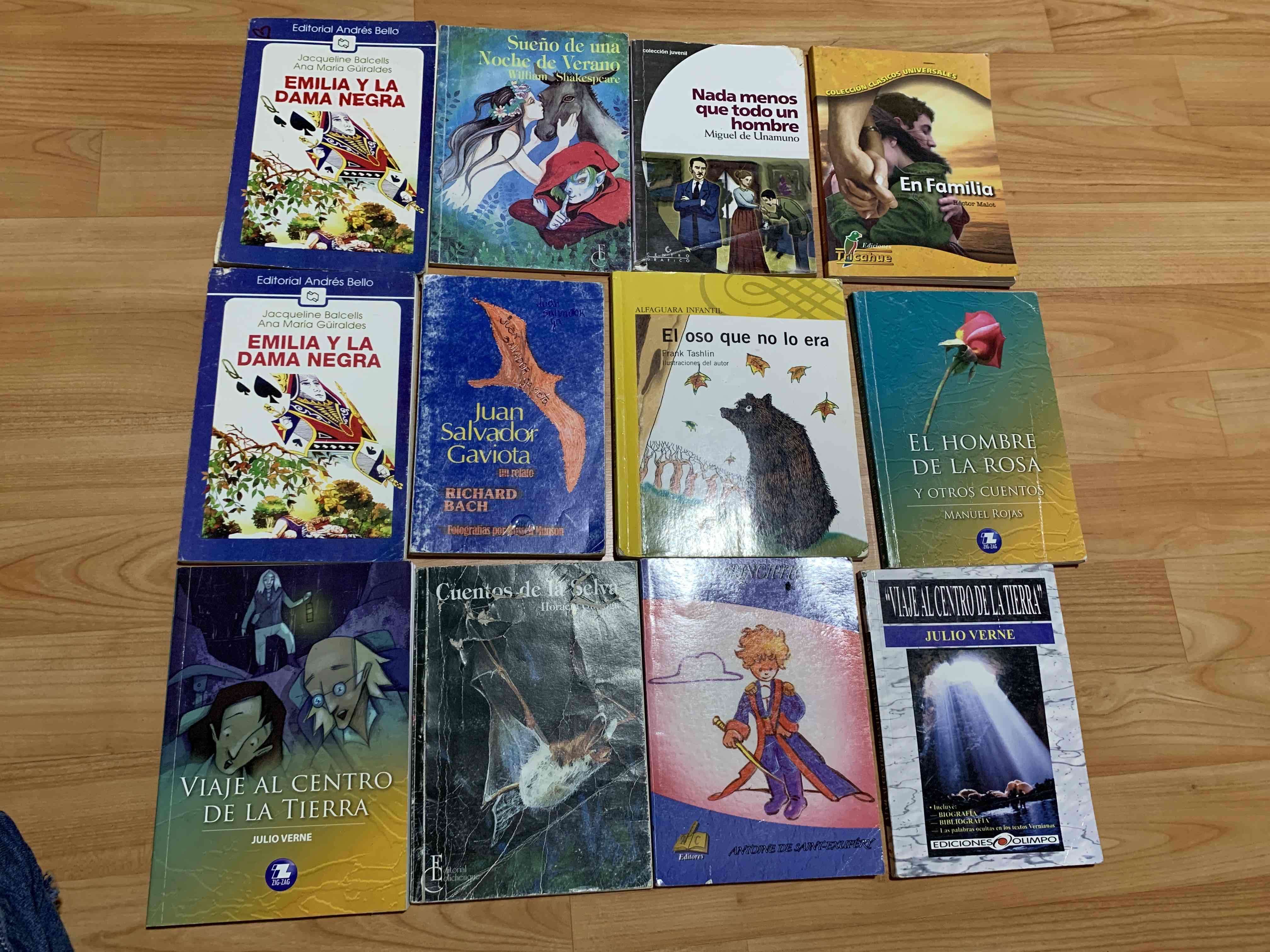 Lote de libros clásicos variados - miniatura 4