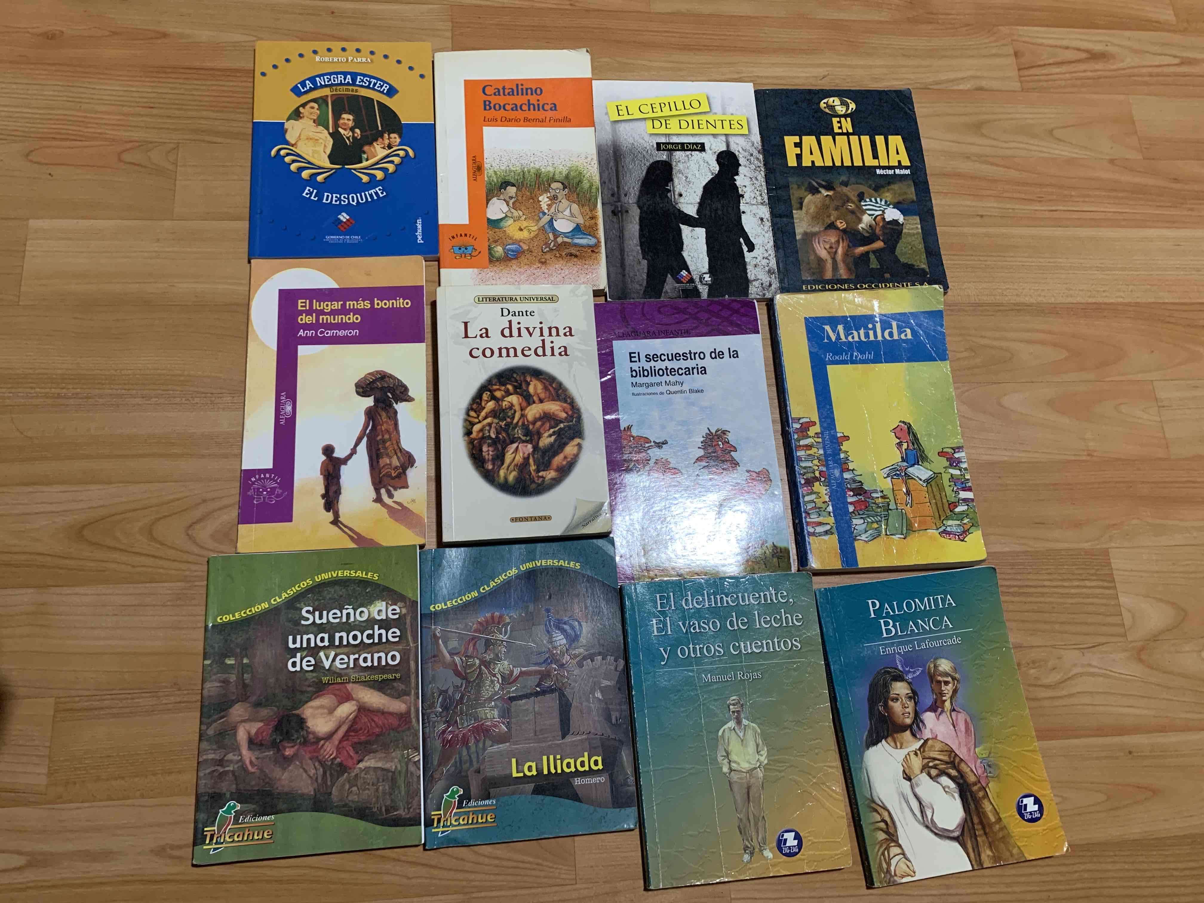 Lote de libros clásicos variados - miniatura 5