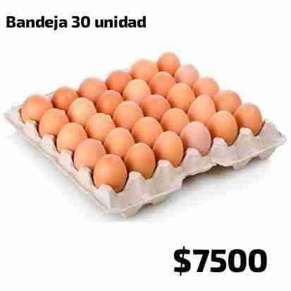 Queso crema 2 kg - miniatura 5