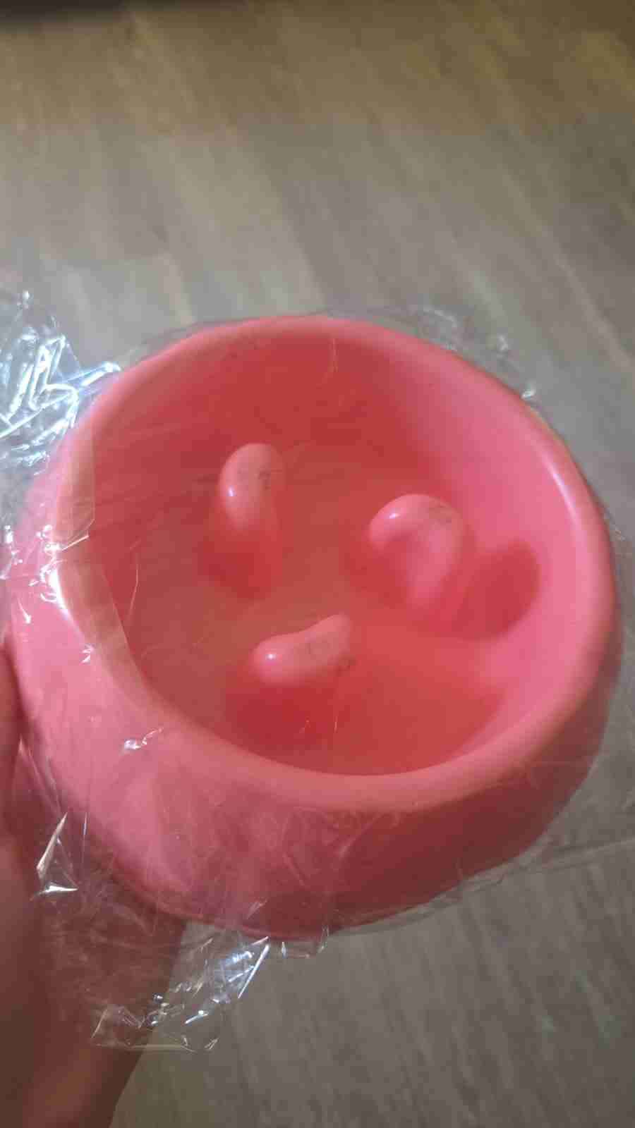 Plato antideslizante para mascota